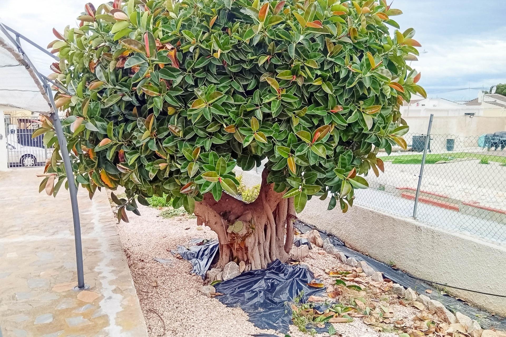 Återförsäljning - Villa -
Torrevieja - La Siesta