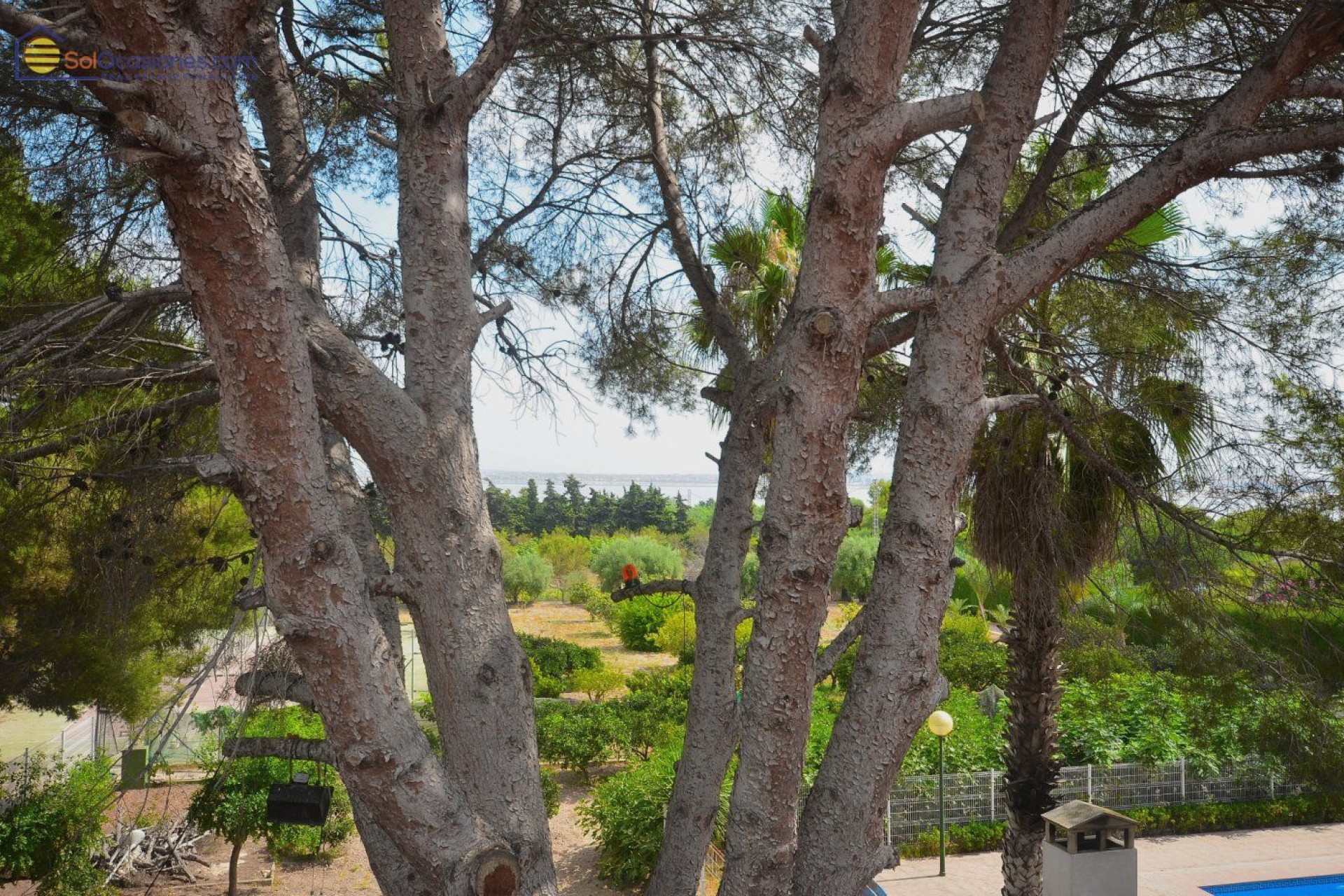 Återförsäljning - Villa -
Torrevieja - Los Balcones