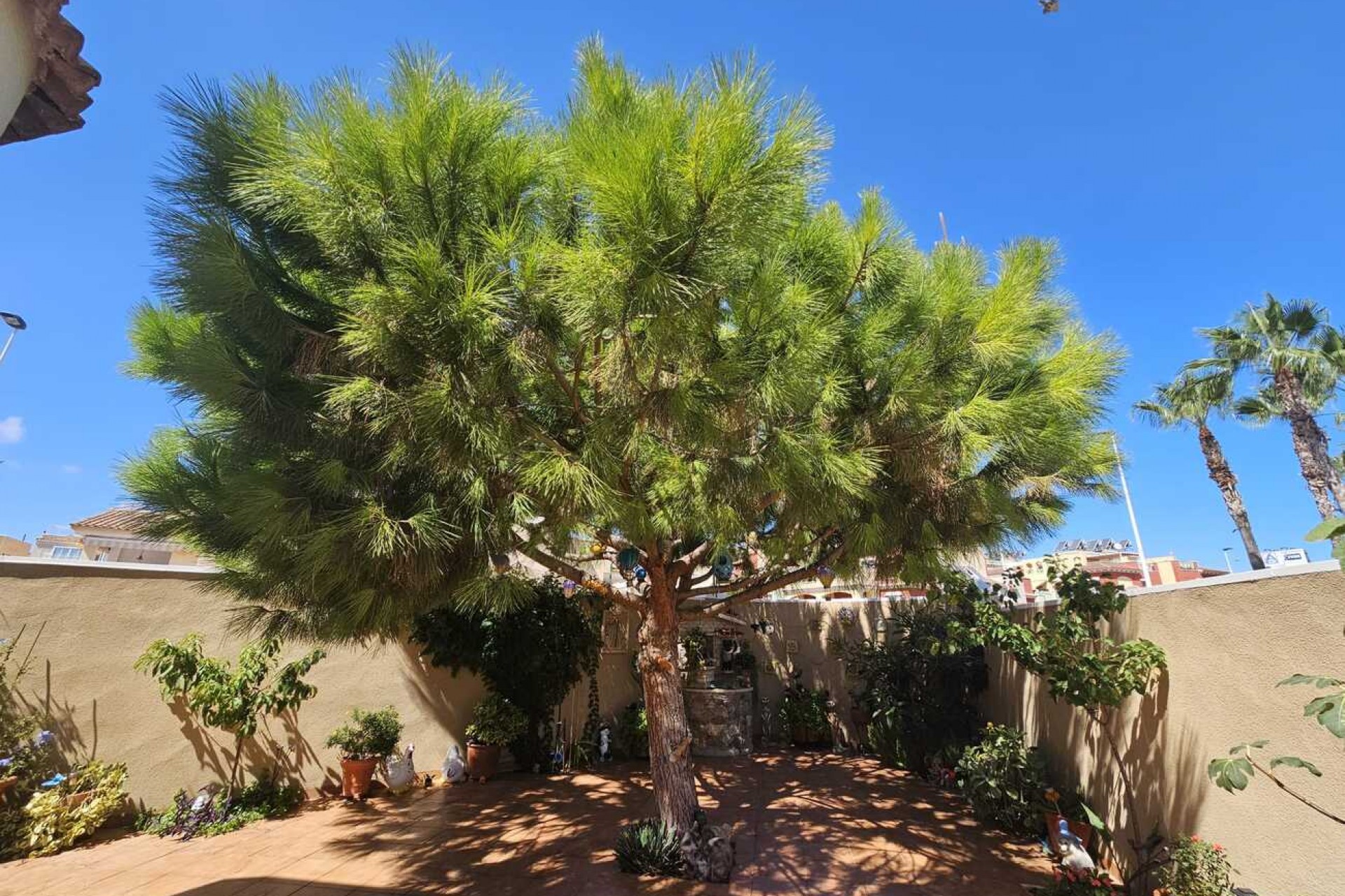 Återförsäljning - Villa -
Torrevieja - Torre Del Moro