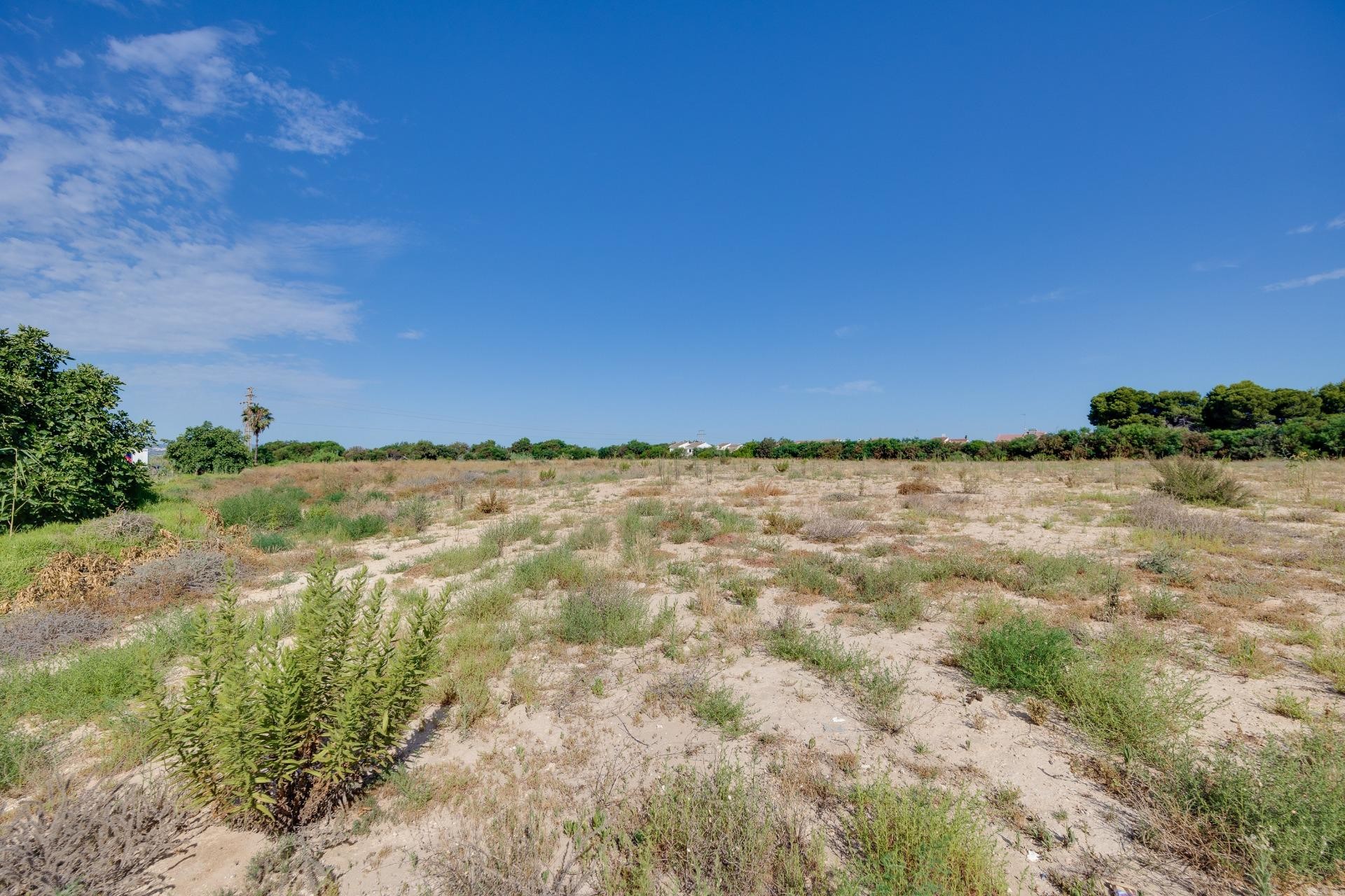 Återförsäljning - Villa -
Torrevieja - Torretas