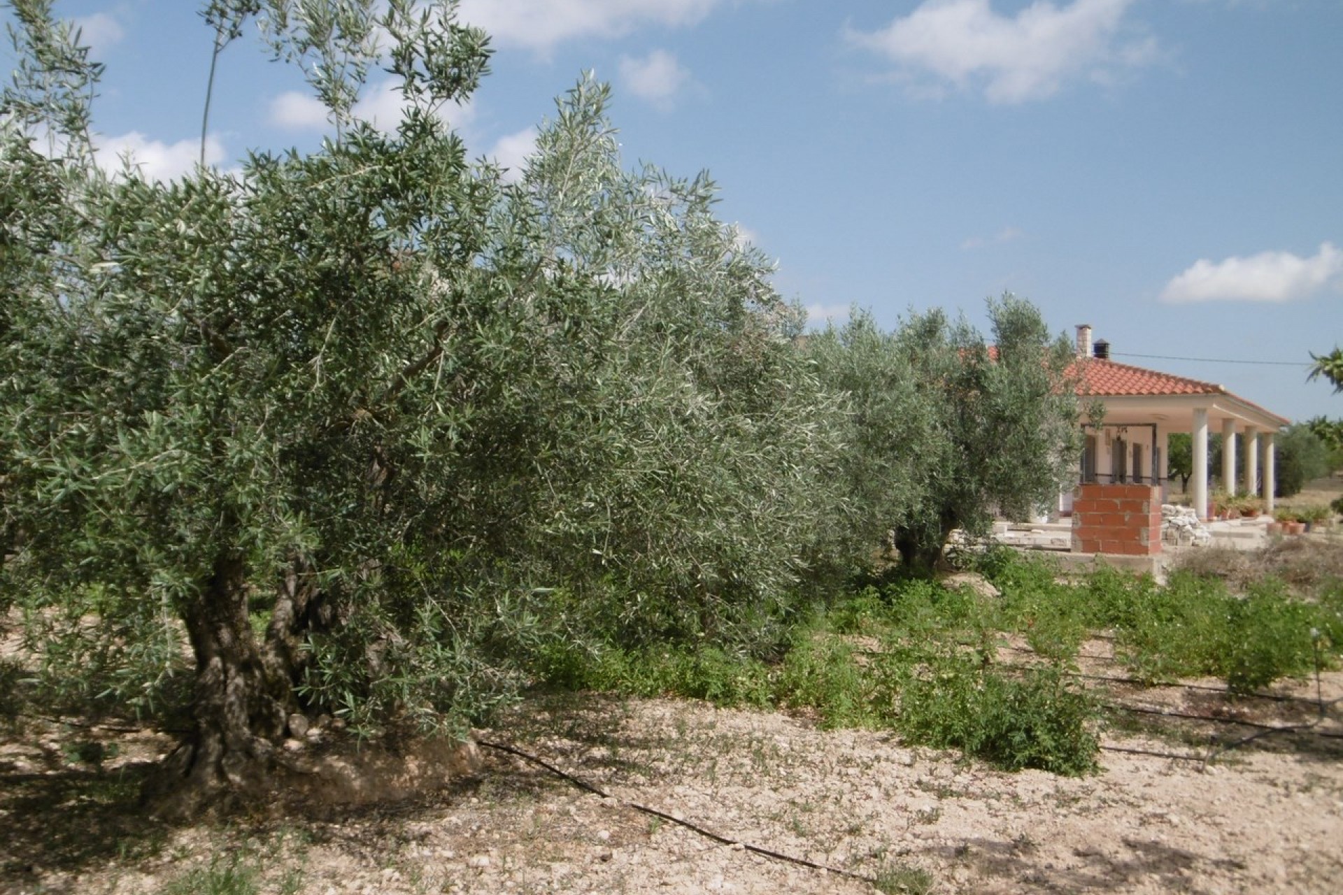 Återförsäljning - Villa -
Yecla - Inland