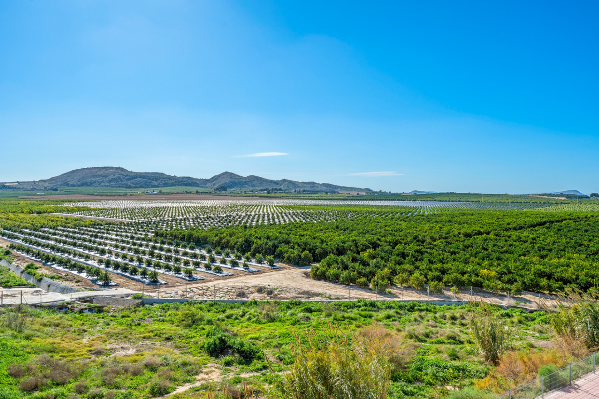 Brukt - Apartment -
Algorfa - Inland