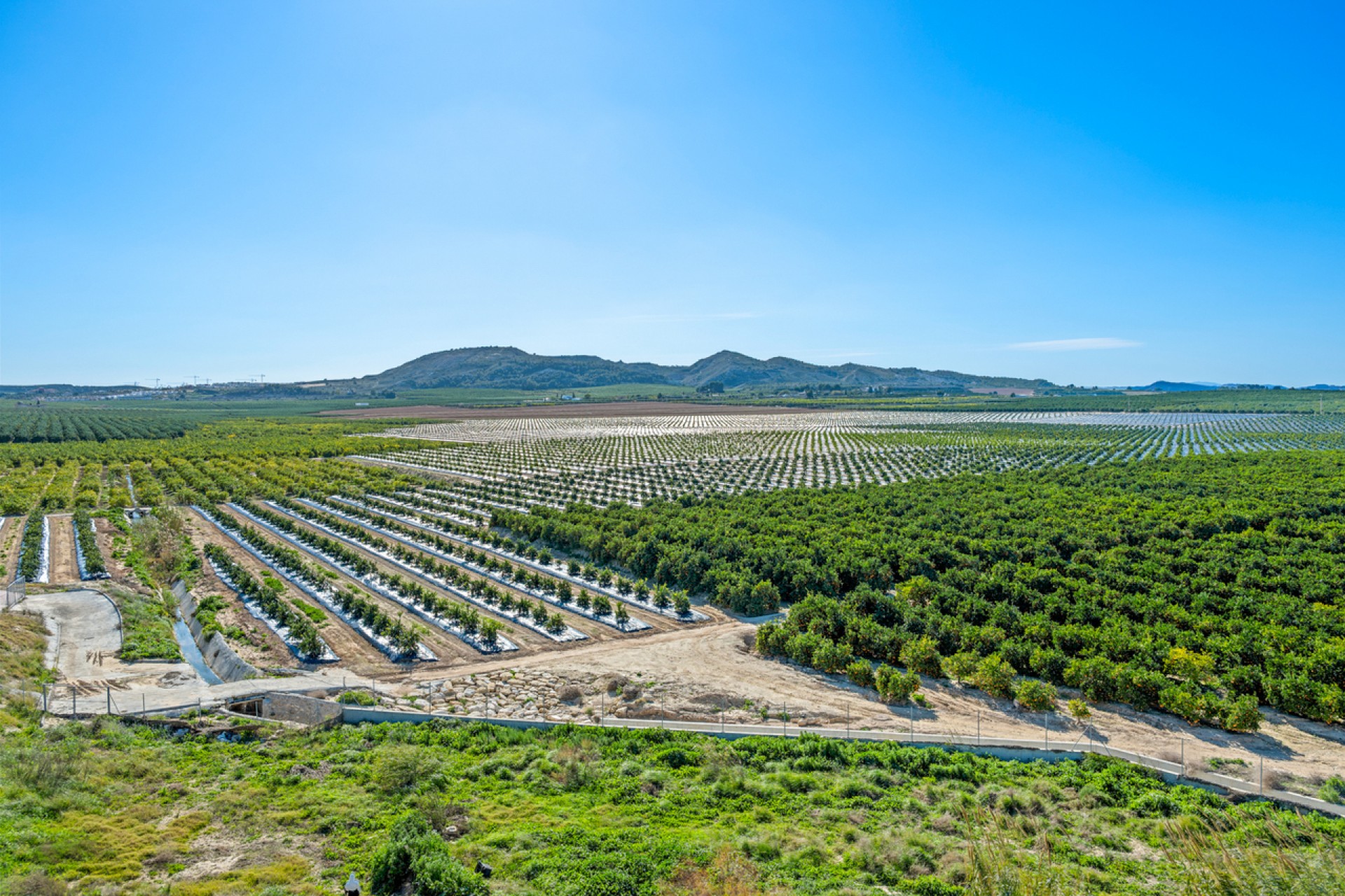 Brukt - Apartment -
Algorfa - Inland