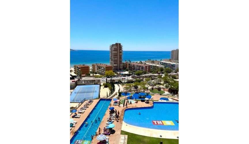 Brukt - Apartment -
Benidorm - Costa Blanca