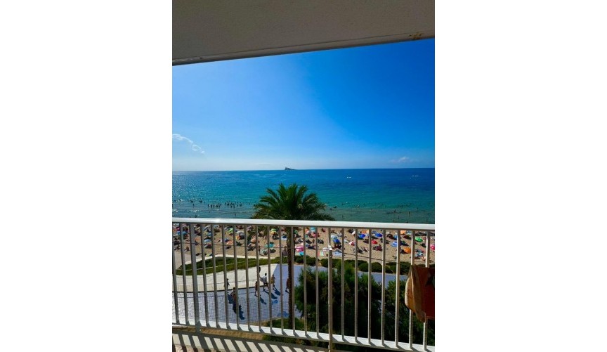 Brukt - Apartment -
Benidorm - Costa Blanca