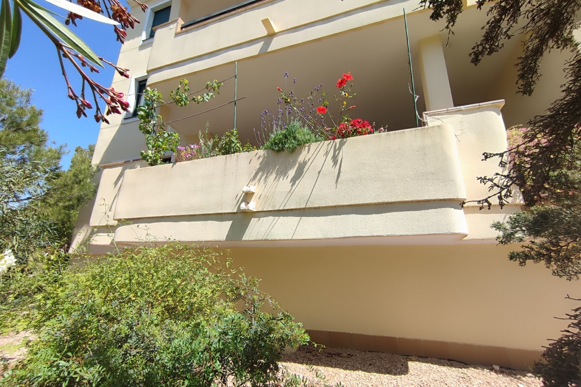 Brukt - Apartment -
Campoamor - Costa Blanca