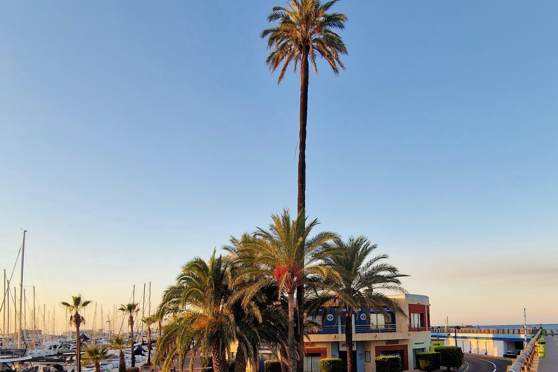 Brukt - Apartment -
Denia - Costa Blanca