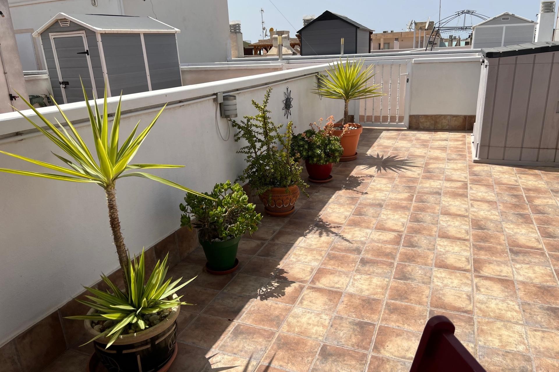 Brukt - Apartment -
Dolores - Comunidad Valenciana