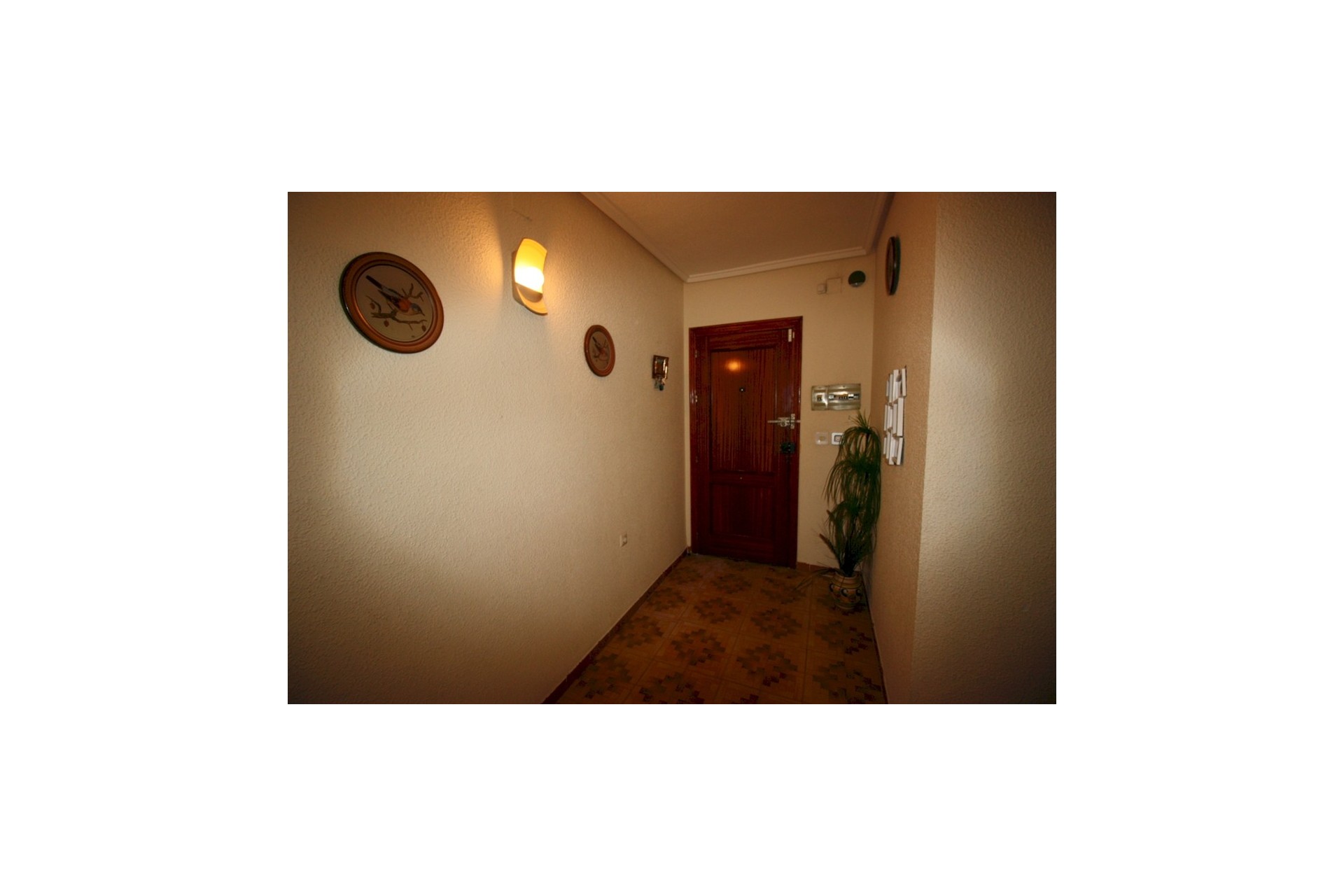 Brukt - Apartment -
Guardamar del Segura - Costa Blanca