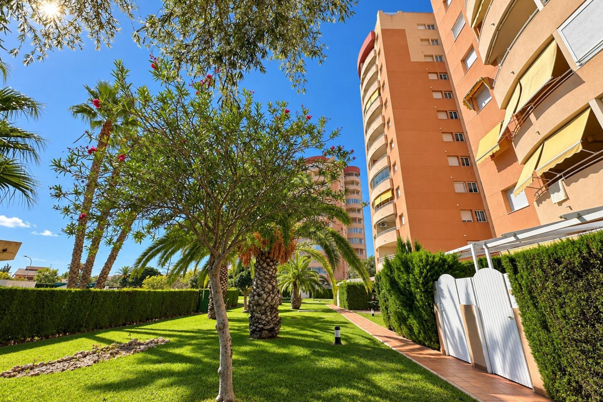 Brukt - Apartment -
Orihuela Costa - Campoamor