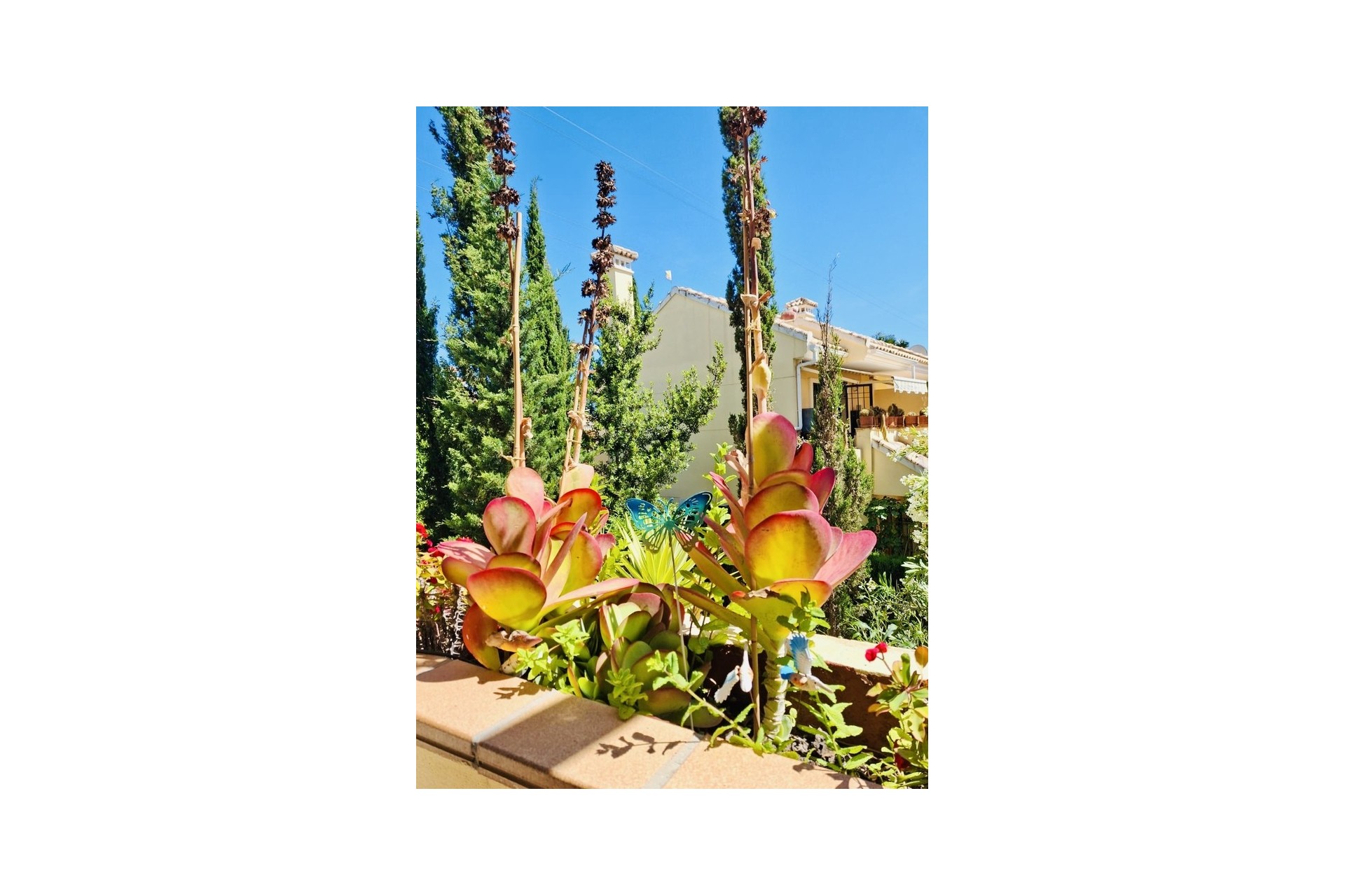 Brukt - Apartment -
Orihuela Costa - Costa Blanca