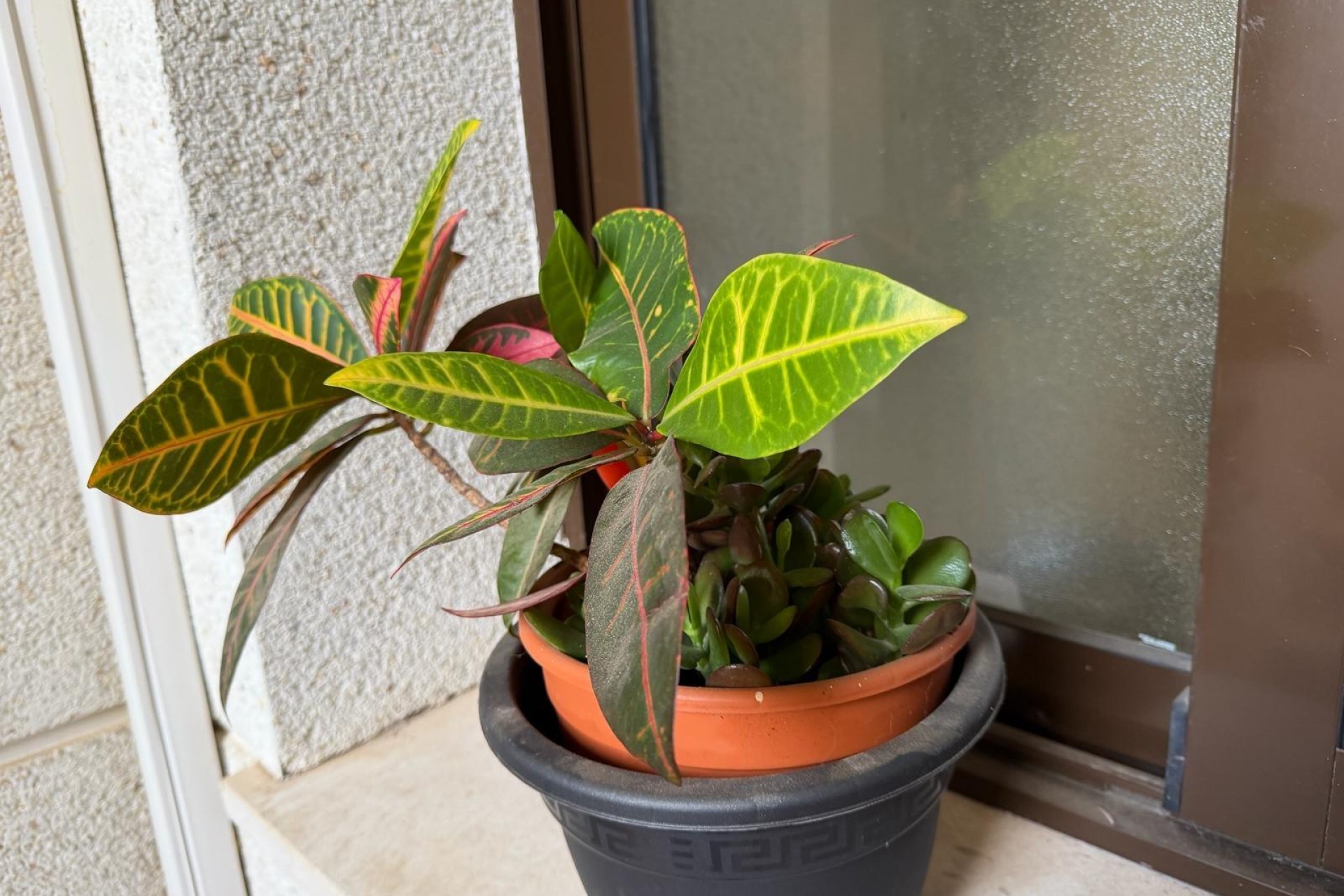 Brukt - Apartment -
Orihuela Costa - Las Ramblas