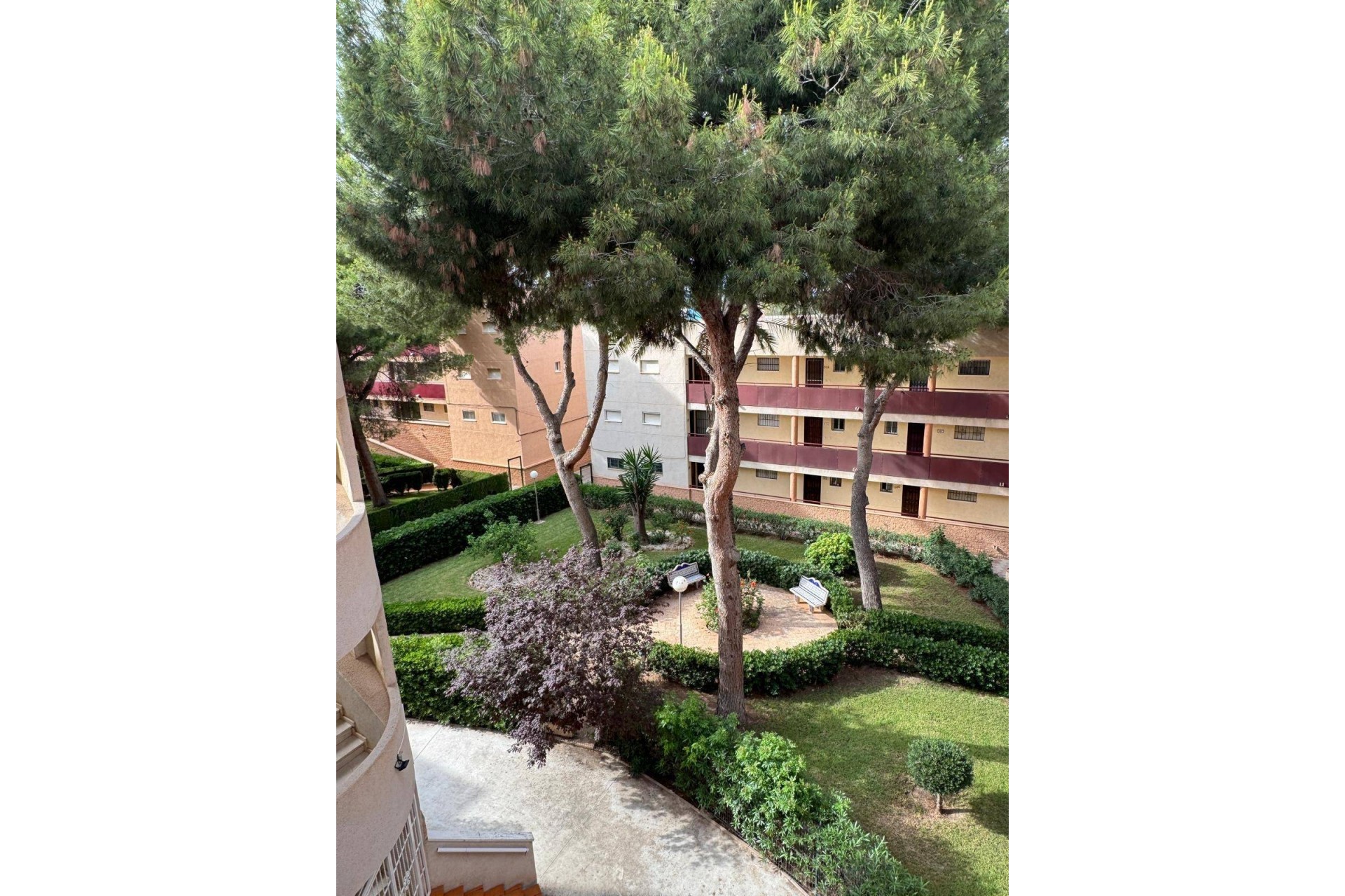 Brukt - Apartment -
Pilar de la Horadada - Mil Palmeras
