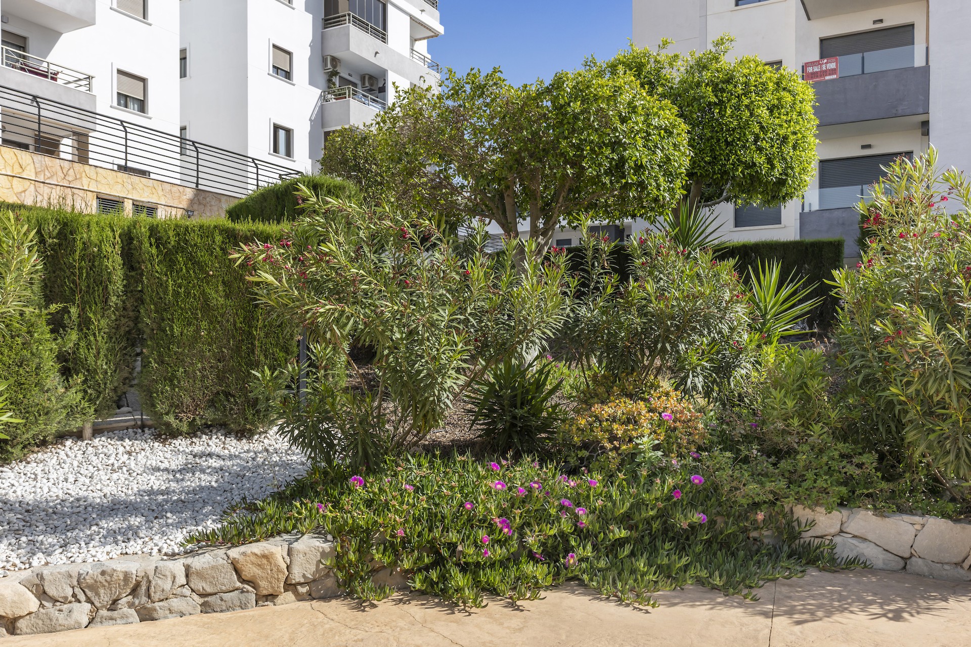 Brukt - Apartment -
San Miguel de Salinas - Inland