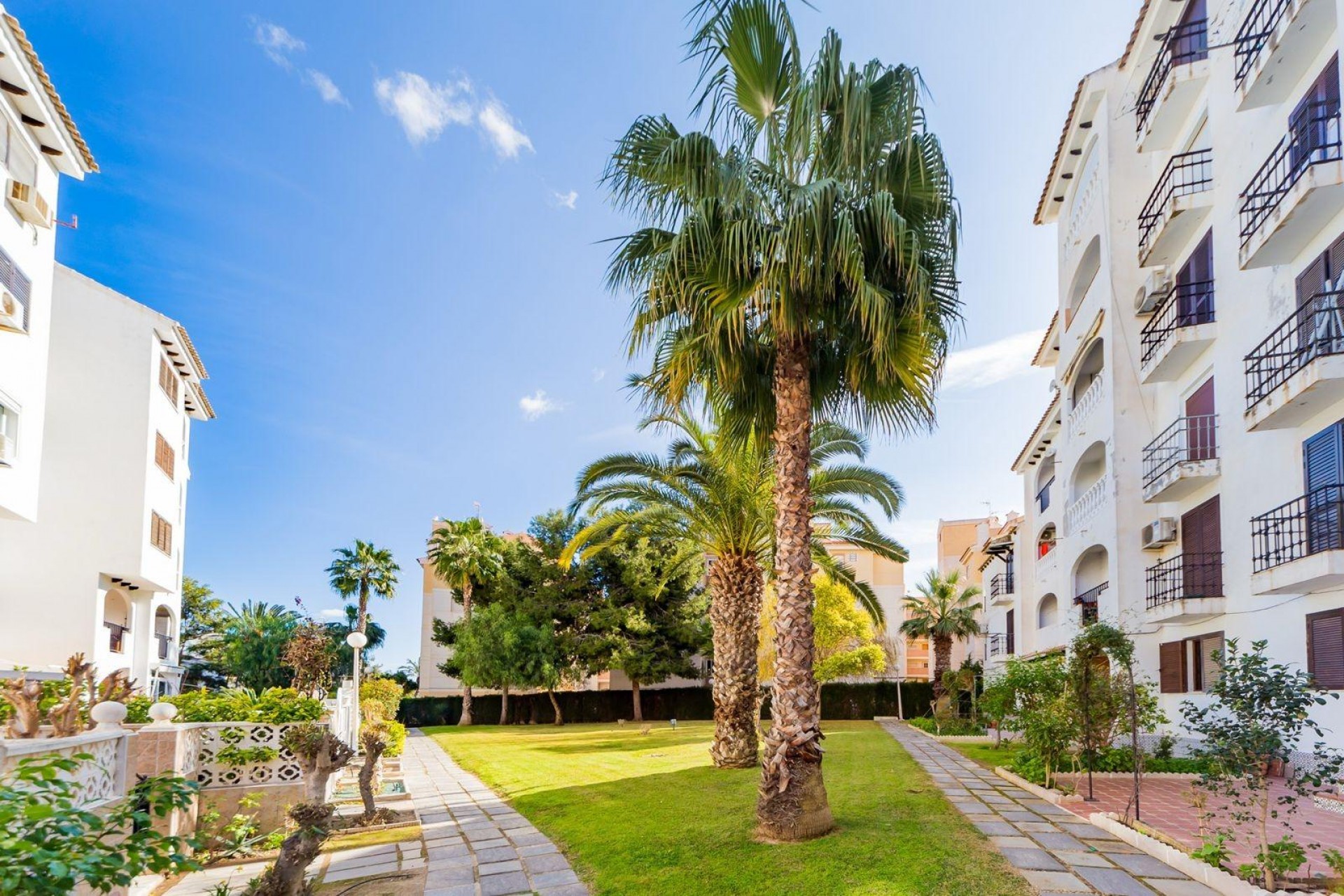 Brukt - Apartment -
Torrevieja - Calas Blanca