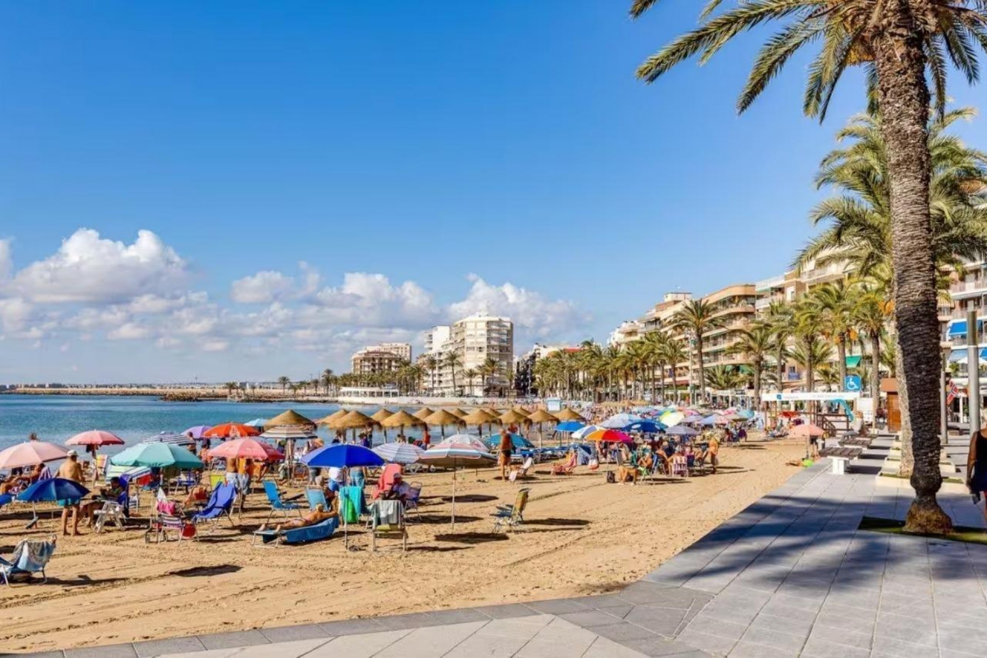 Brukt - Apartment -
Torrevieja - Centro