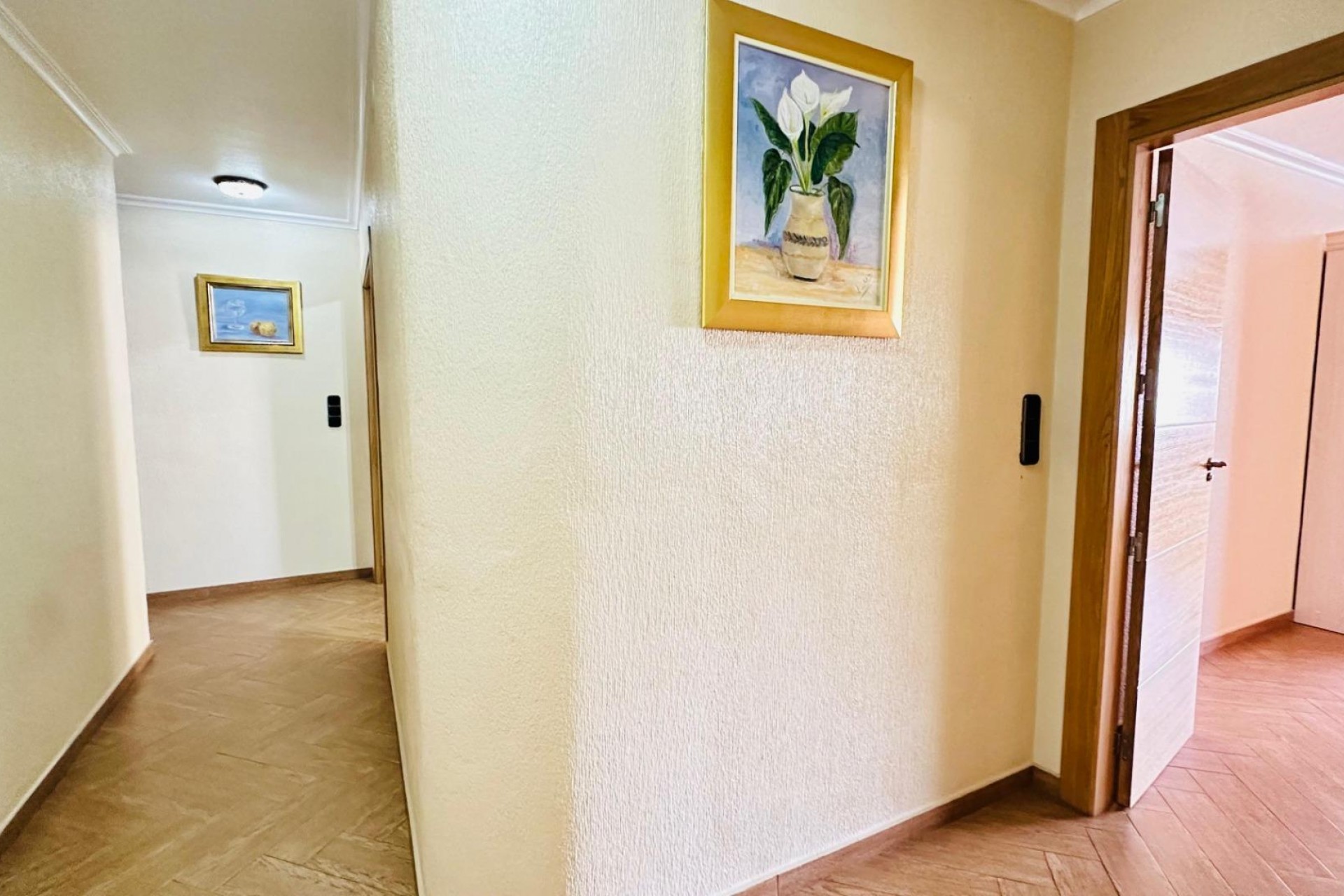 Brukt - Apartment -
Torrevieja - Centro