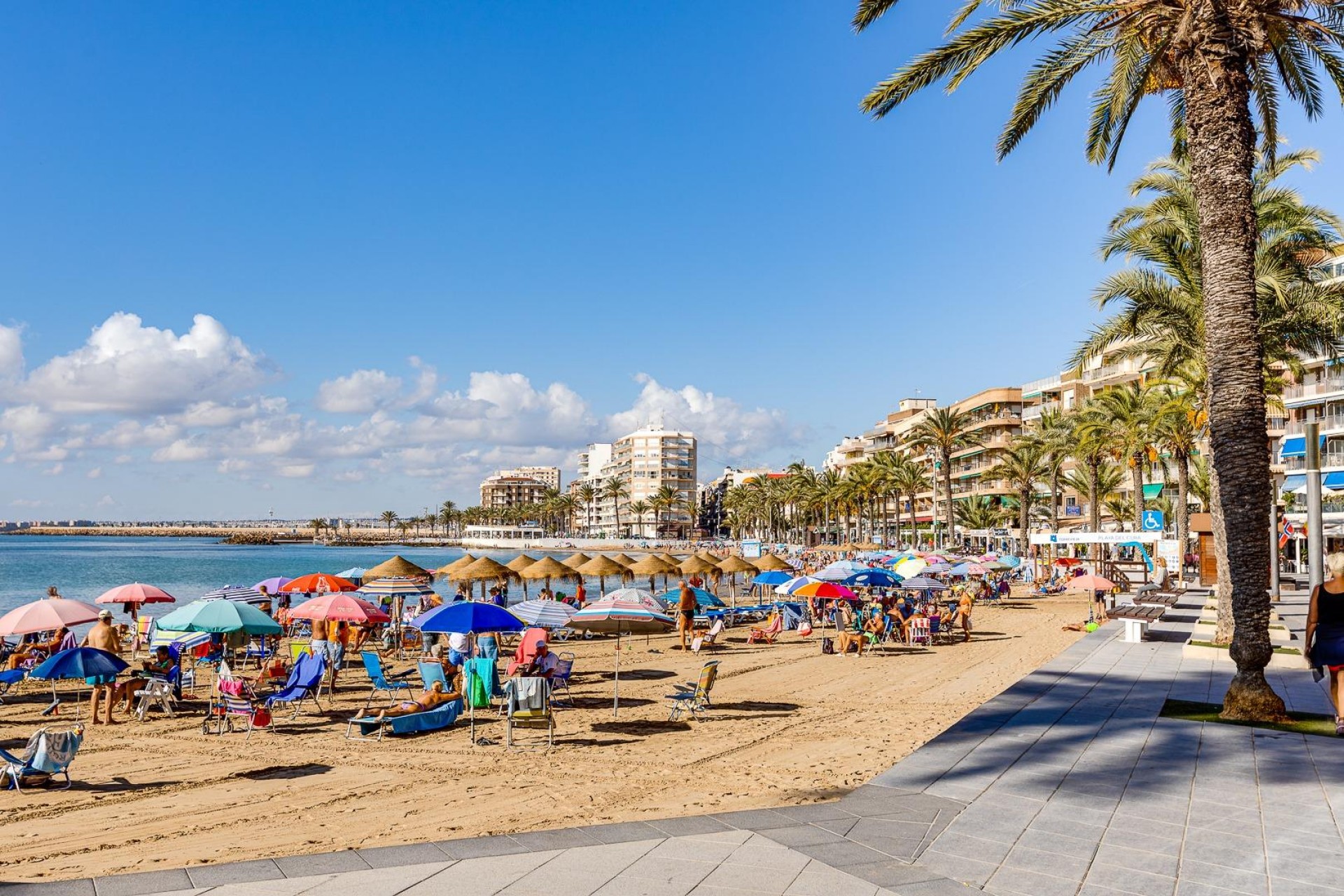 Brukt - Apartment -
Torrevieja - Centro