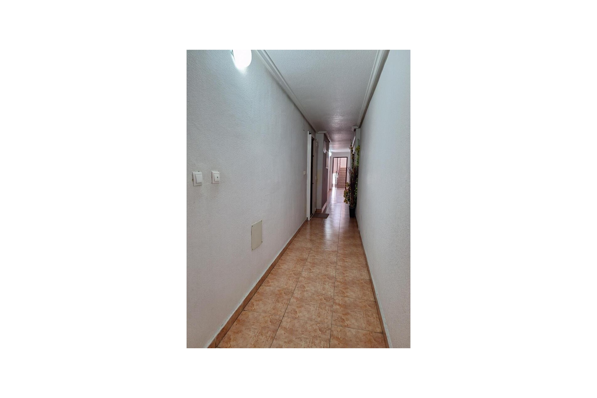 Brukt - Apartment -
Torrevieja - Costa Blanca