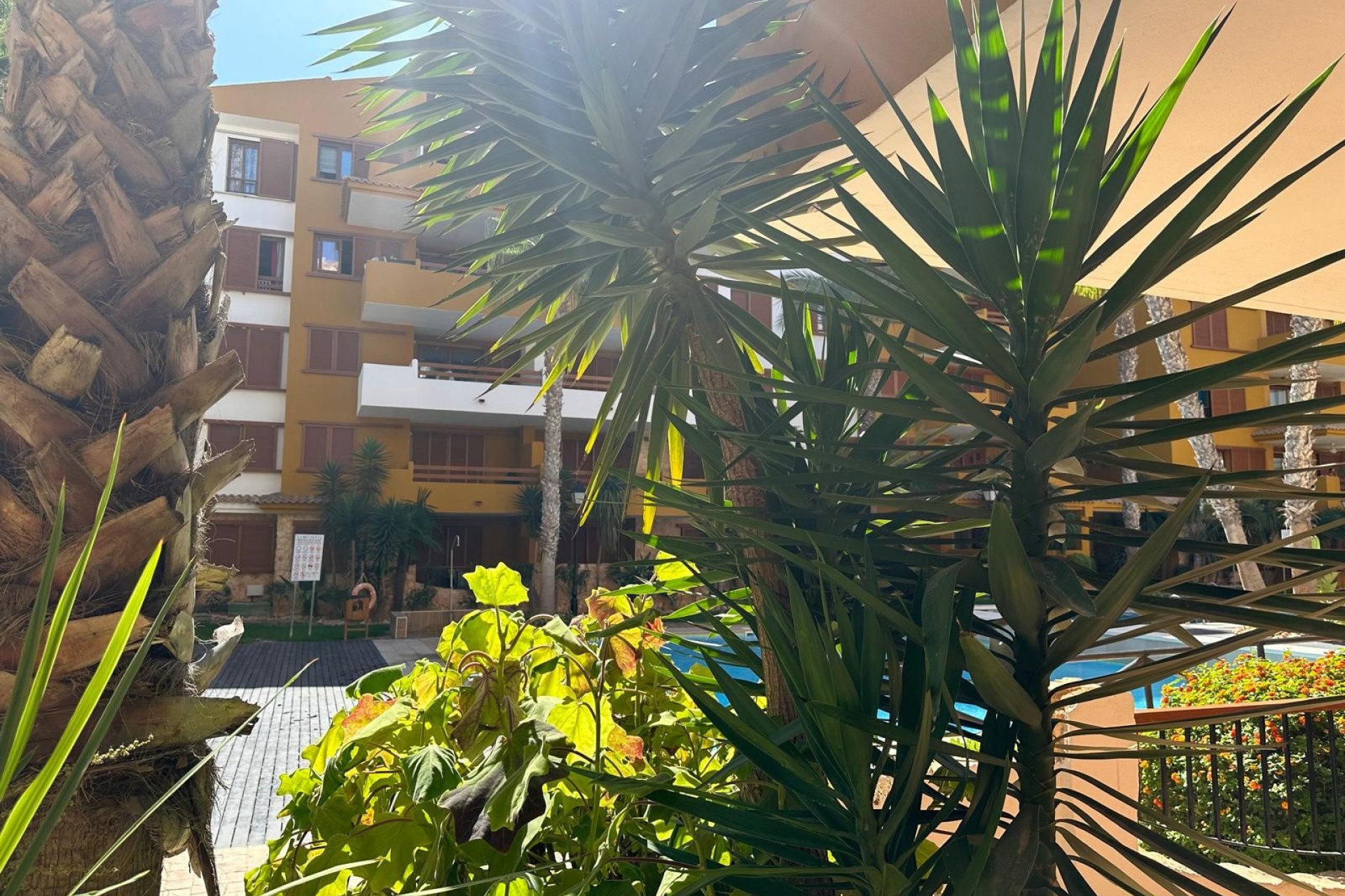 Brukt - Apartment -
Torrevieja - Costa Blanca