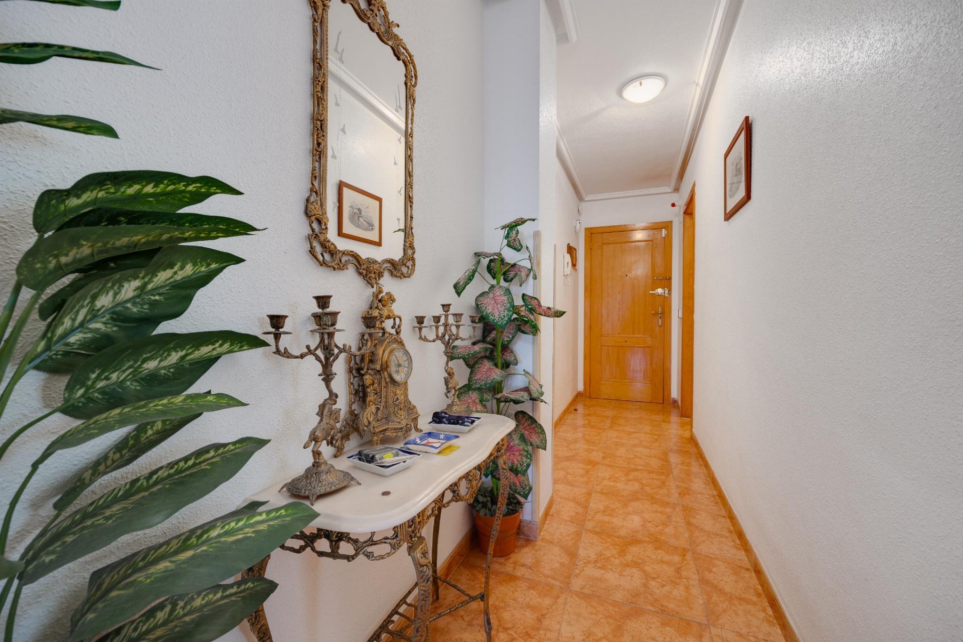 Brukt - Apartment -
Torrevieja - Costa Blanca