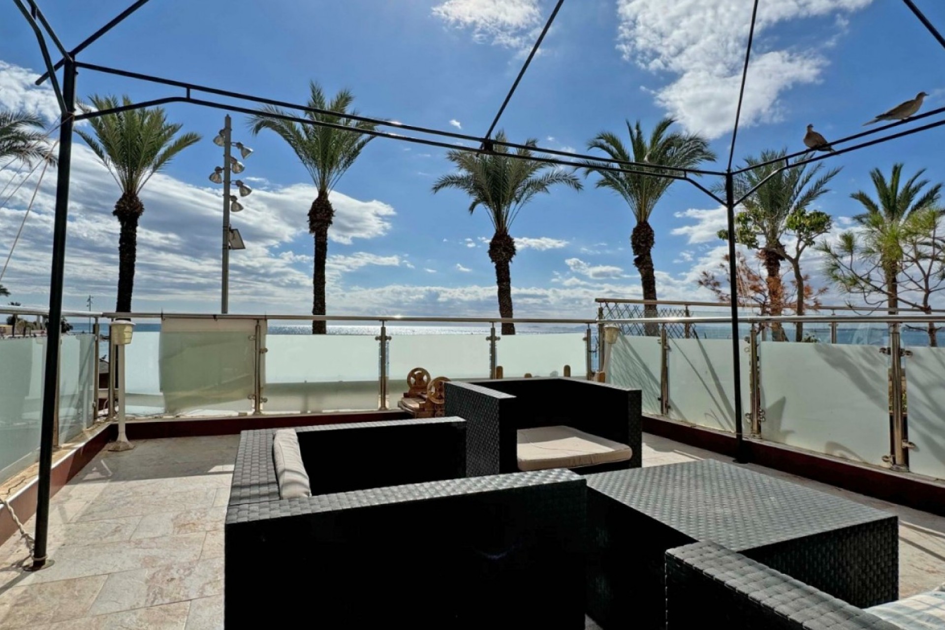 Brukt - Apartment -
Torrevieja - Costa Blanca