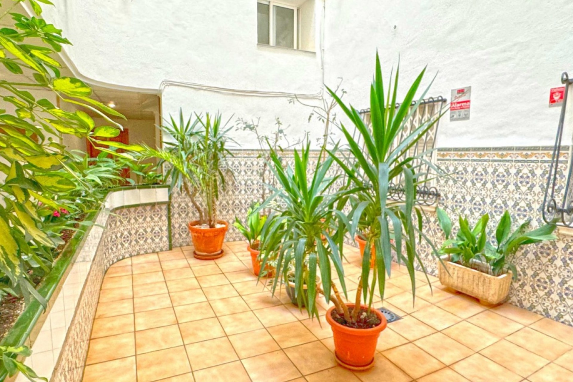 Brukt - Apartment -
Torrevieja - Costa Blanca