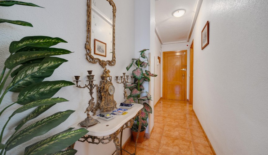 Brukt - Apartment -
Torrevieja - Costa Blanca