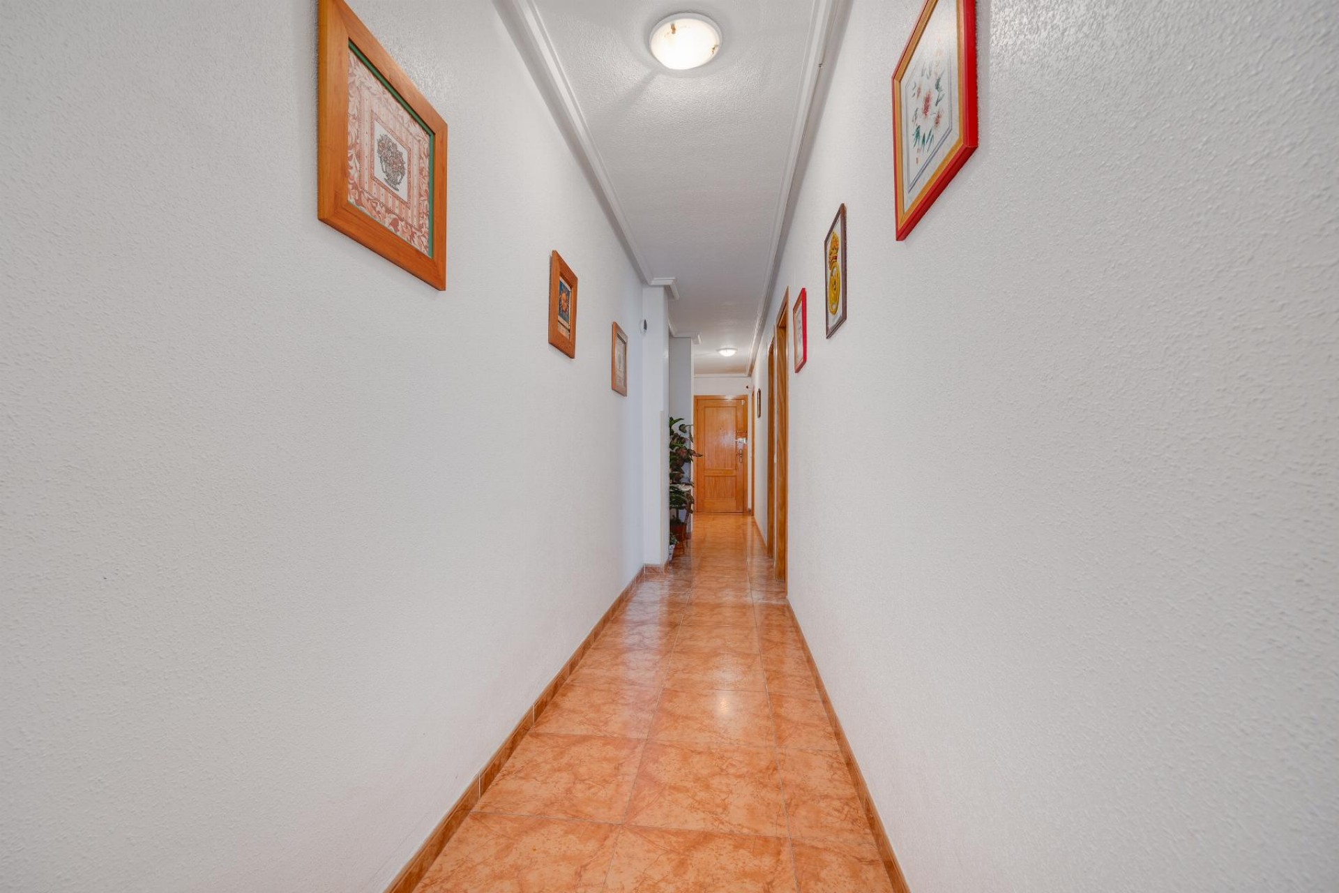 Brukt - Apartment -
Torrevieja - Costa Blanca