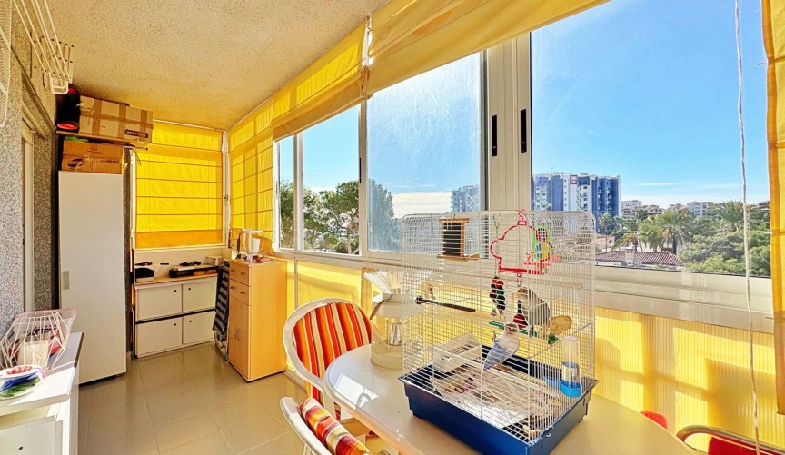 Brukt - Apartment -
Torrevieja - Costa Blanca