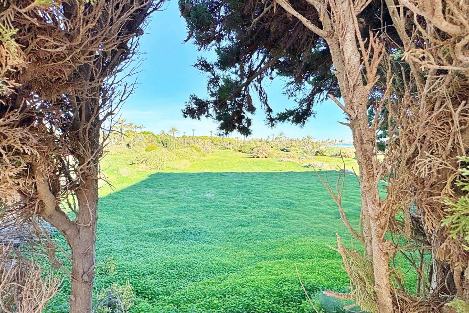 Brukt - Apartment -
Torrevieja - Costa Blanca