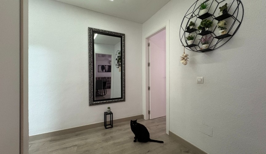 Brukt - Apartment -
Torrevieja - Costa Blanca