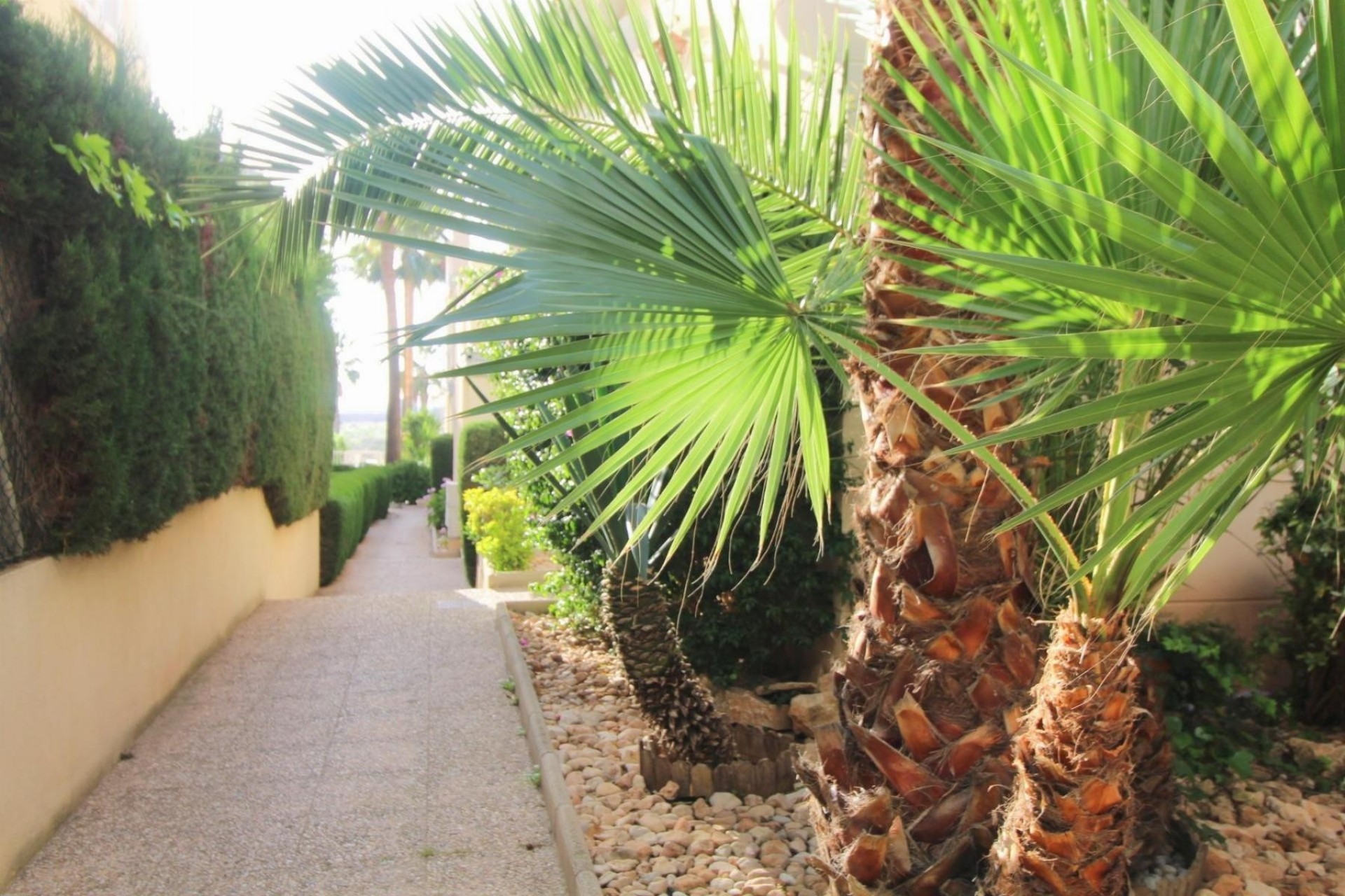 Brukt - Apartment -
Torrevieja - Costa Blanca