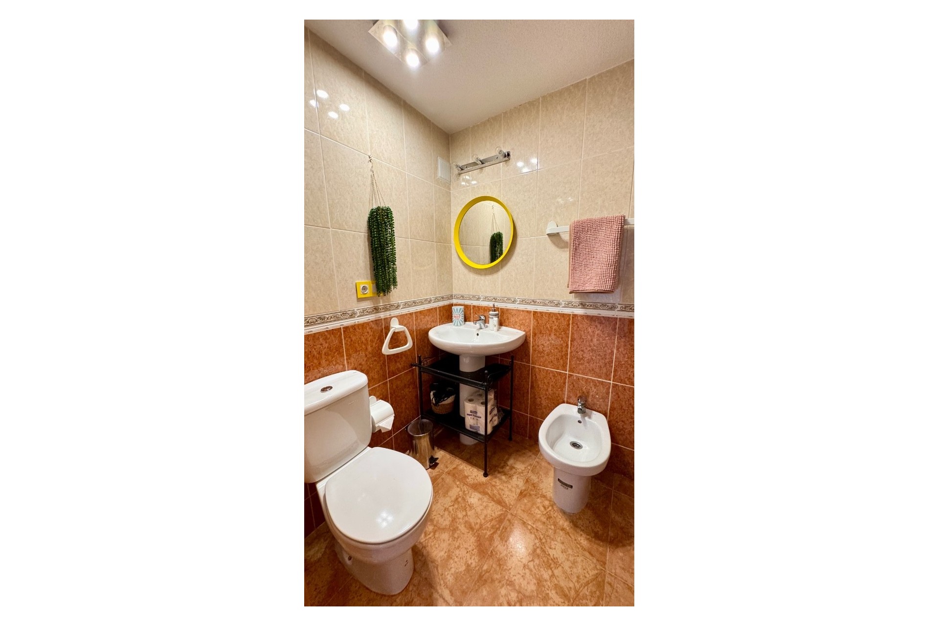 Brukt - Apartment -
Torrevieja - Costa Blanca