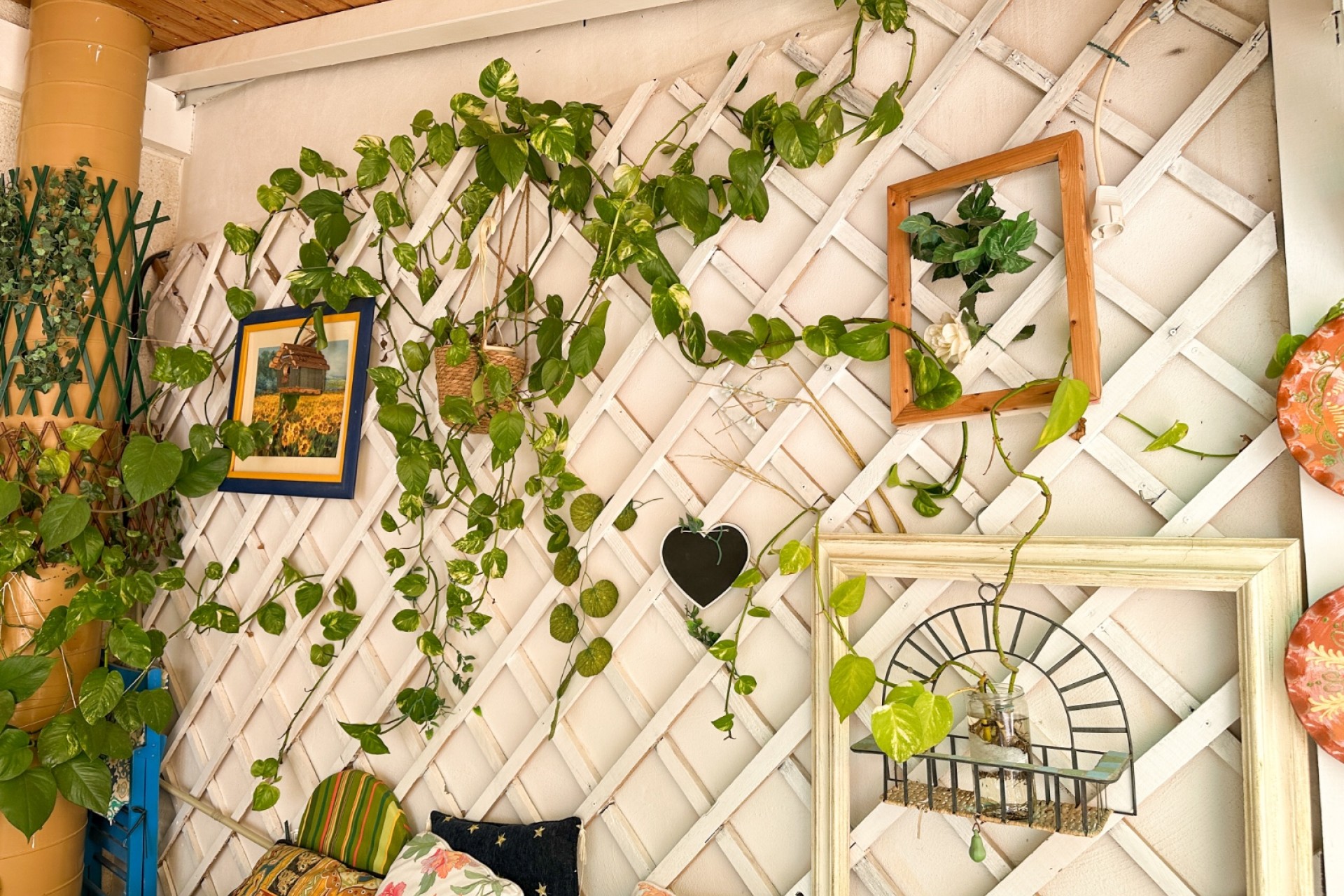 Brukt - Apartment -
Torrevieja - Costa Blanca