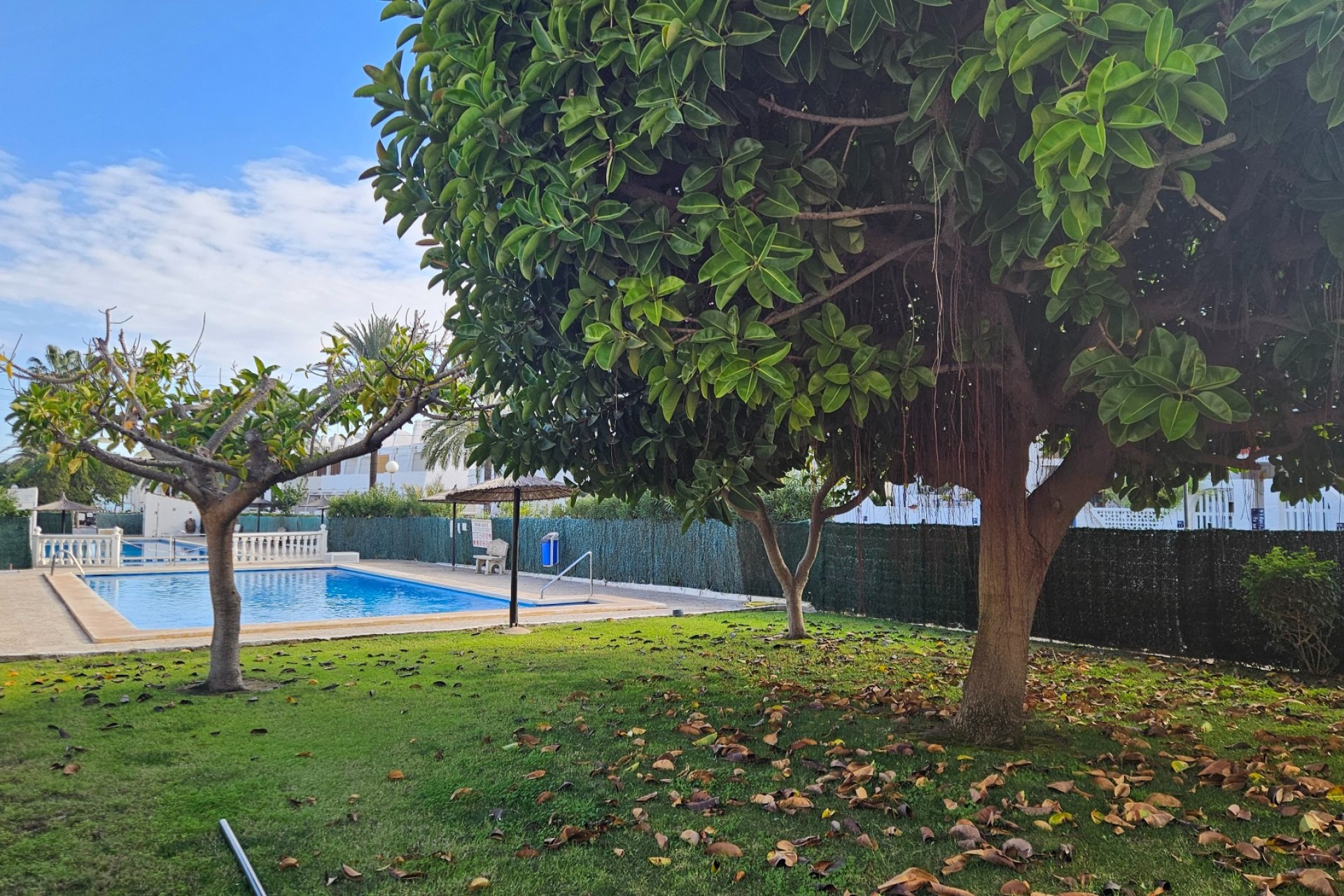 Brukt - Apartment -
Torrevieja - Costa Blanca