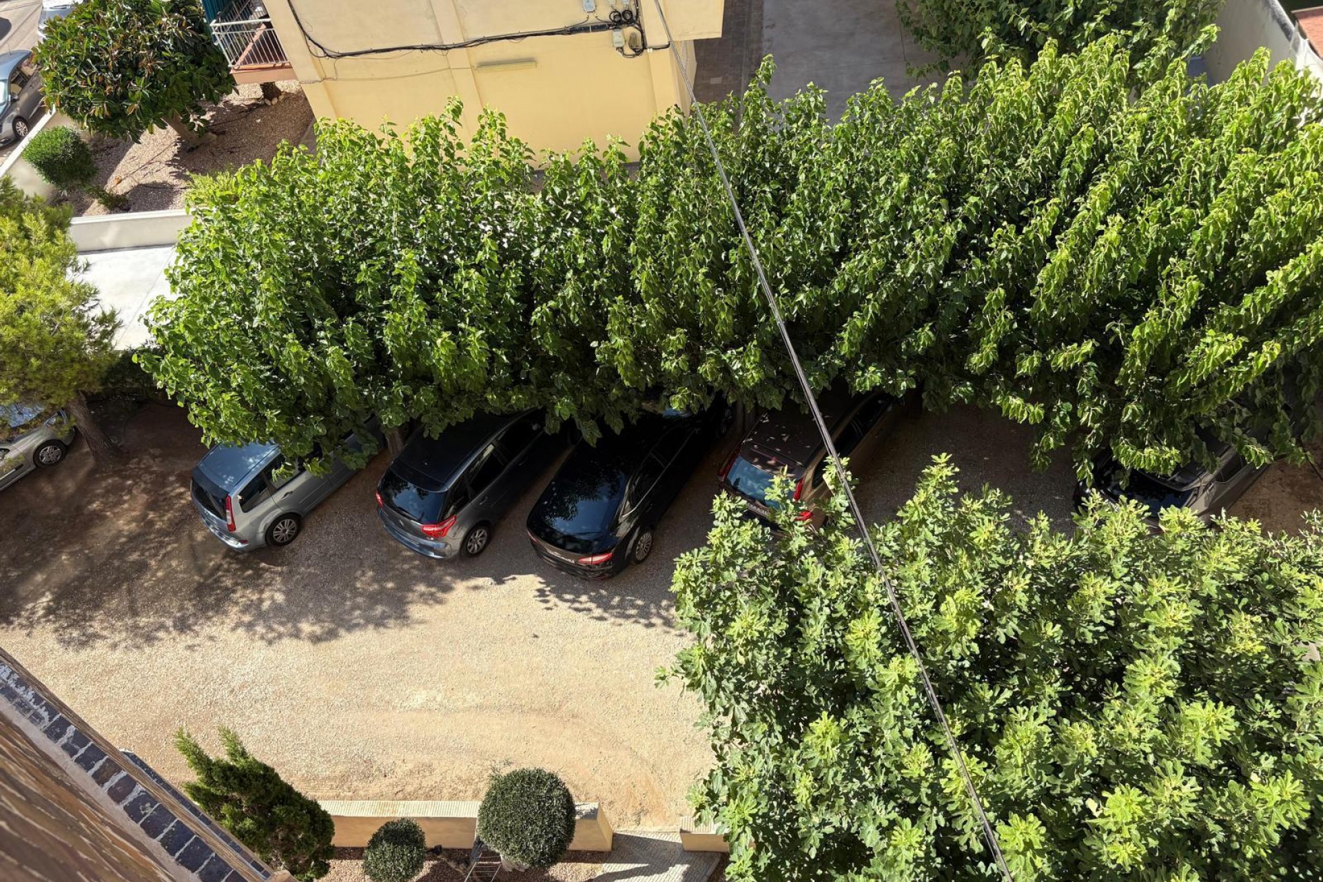 Brukt - Apartment -
Torrevieja - Costa Blanca