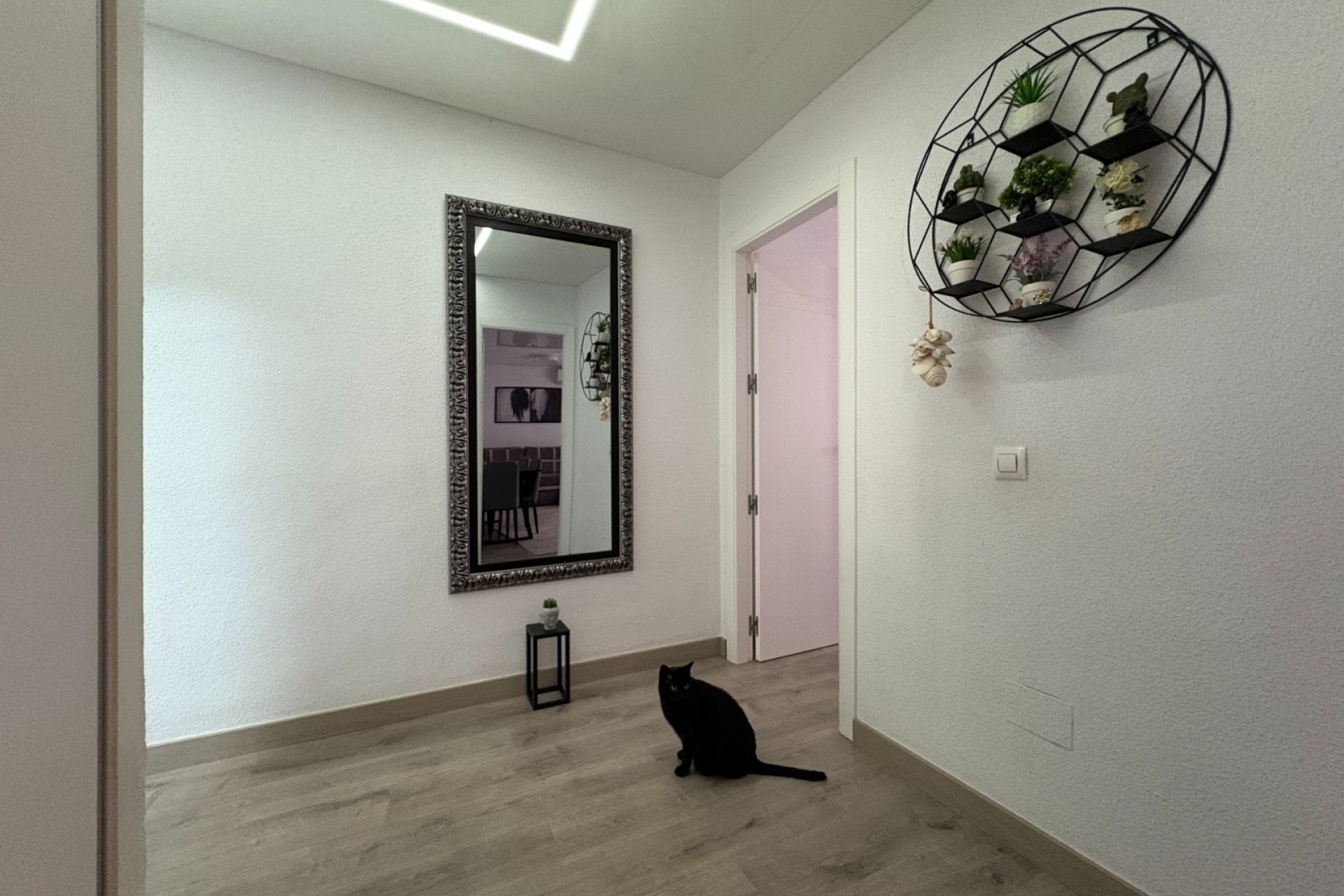 Brukt - Apartment -
Torrevieja - Costa Blanca