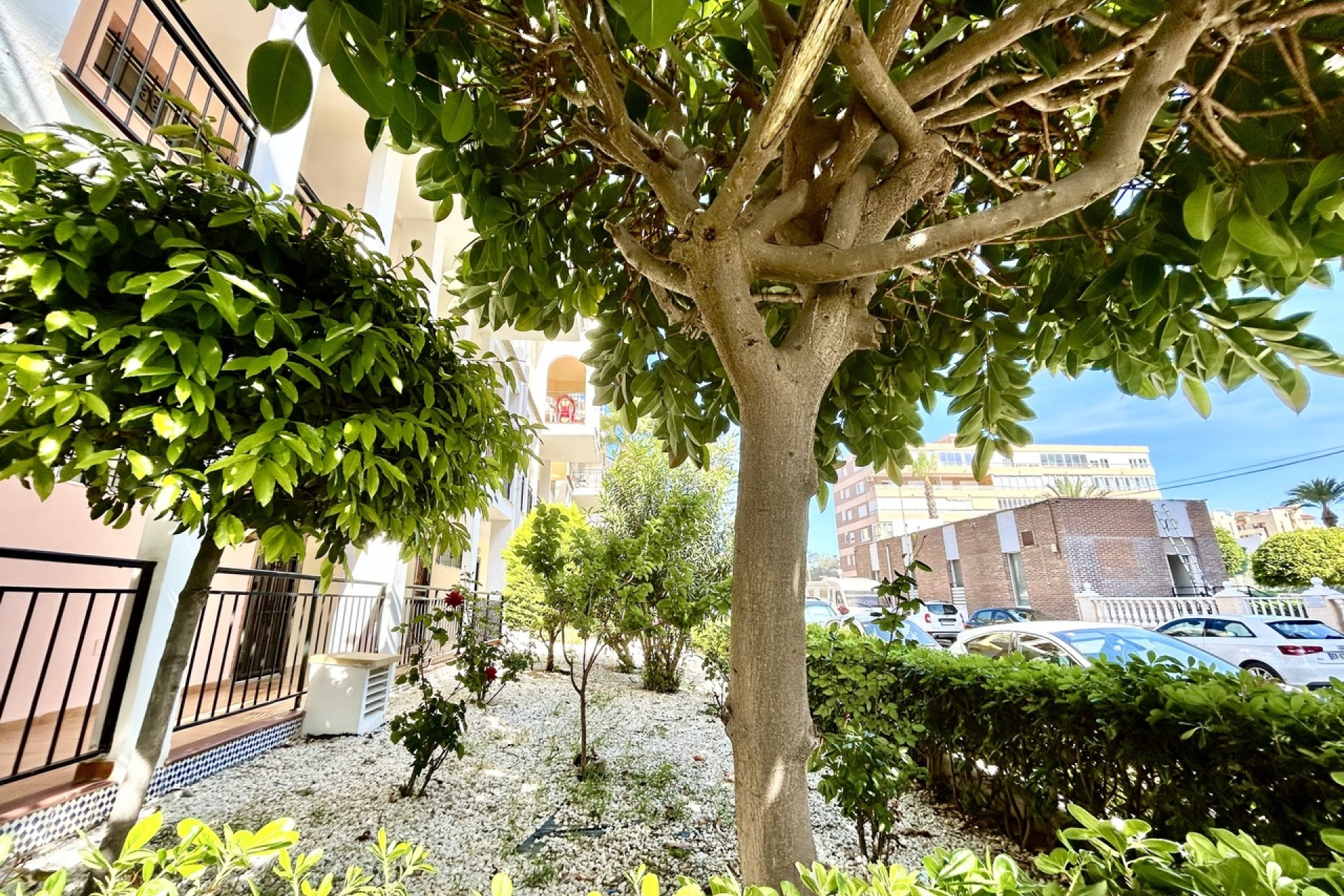 Brukt - Apartment -
Torrevieja - Costa Blanca