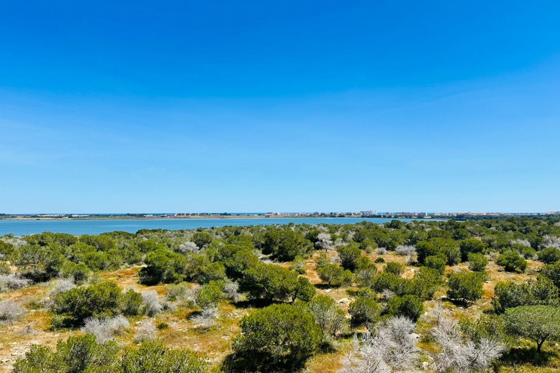 Brukt - Apartment -
Torrevieja - Costa Blanca