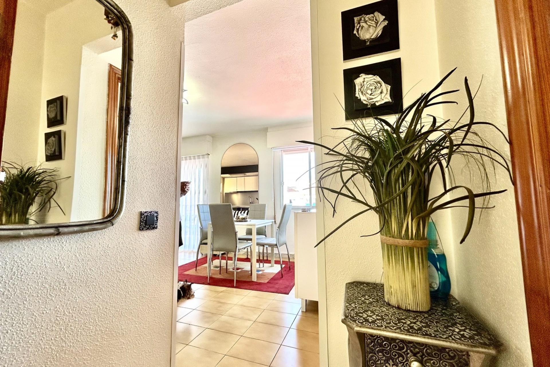 Brukt - Apartment -
Torrevieja - Costa Blanca