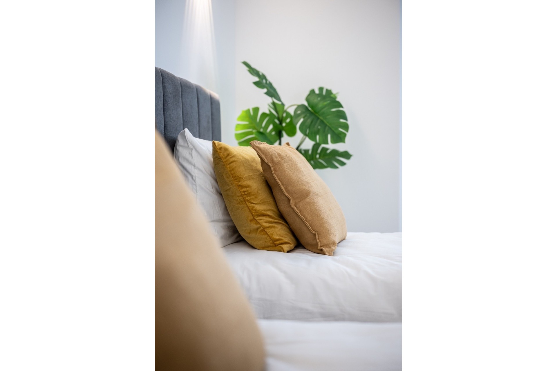 Brukt - Apartment -
Torrevieja - Costa Blanca