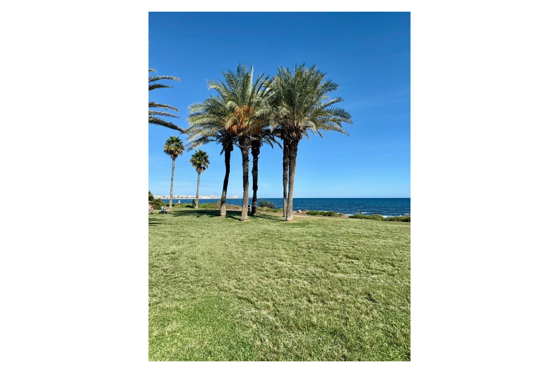 Brukt - Apartment -
Torrevieja - Costa Blanca