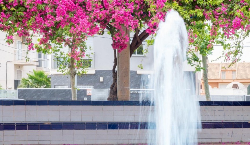 Brukt - Apartment -
Torrevieja - Estacion De Autobuses