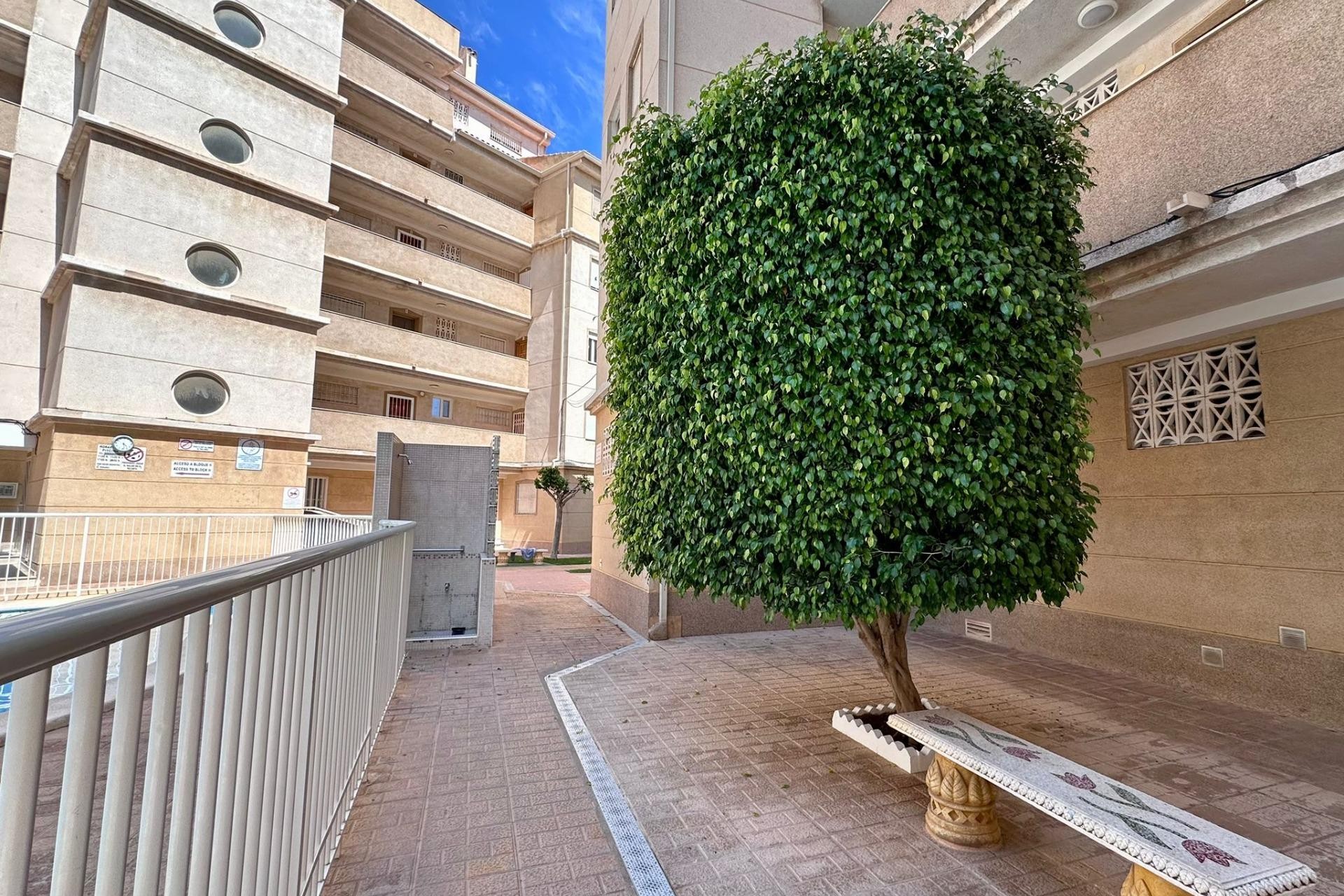 Brukt - Apartment -
Torrevieja - Habaneras