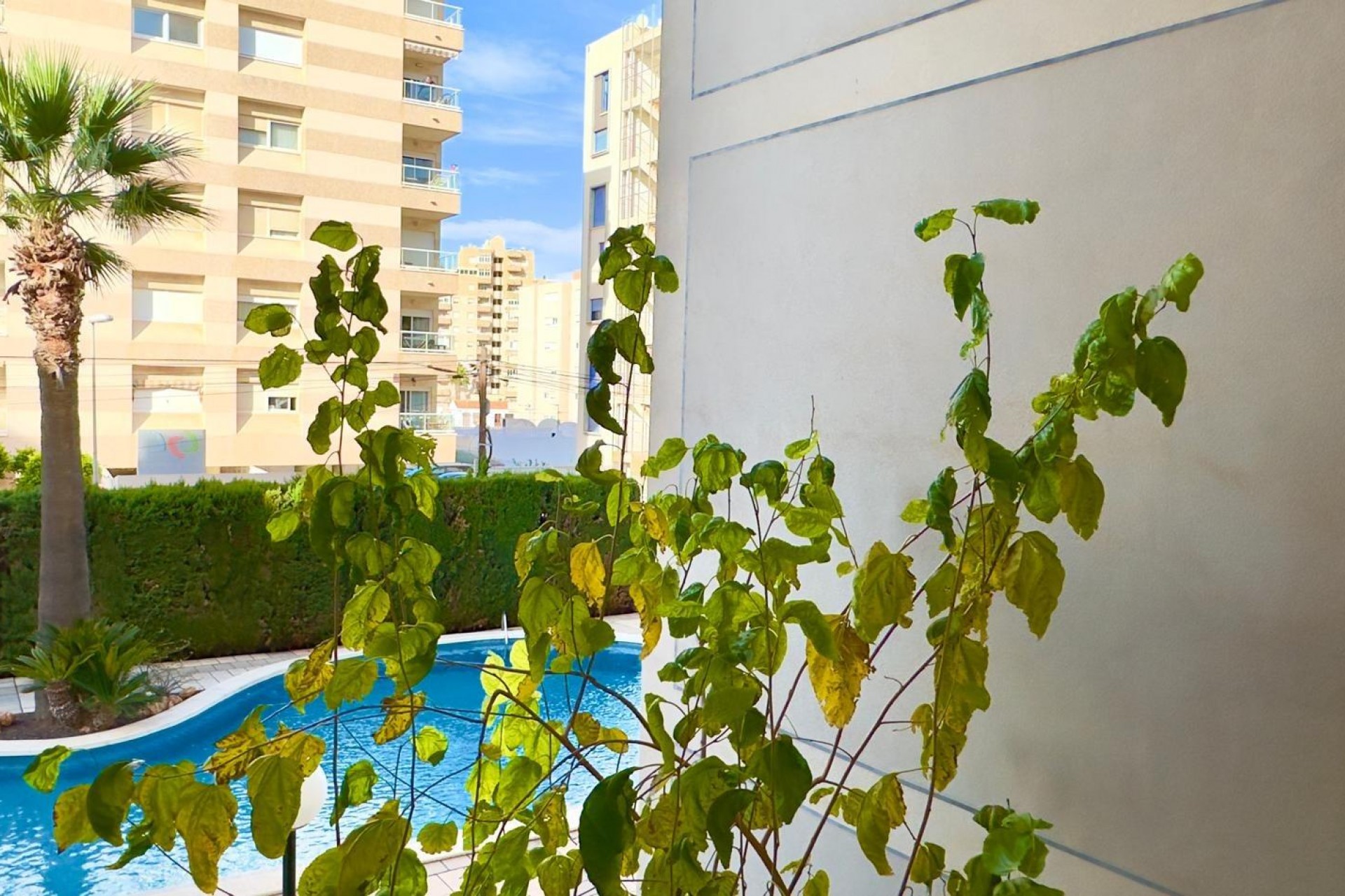 Brukt - Apartment -
Torrevieja - Playa del Cura