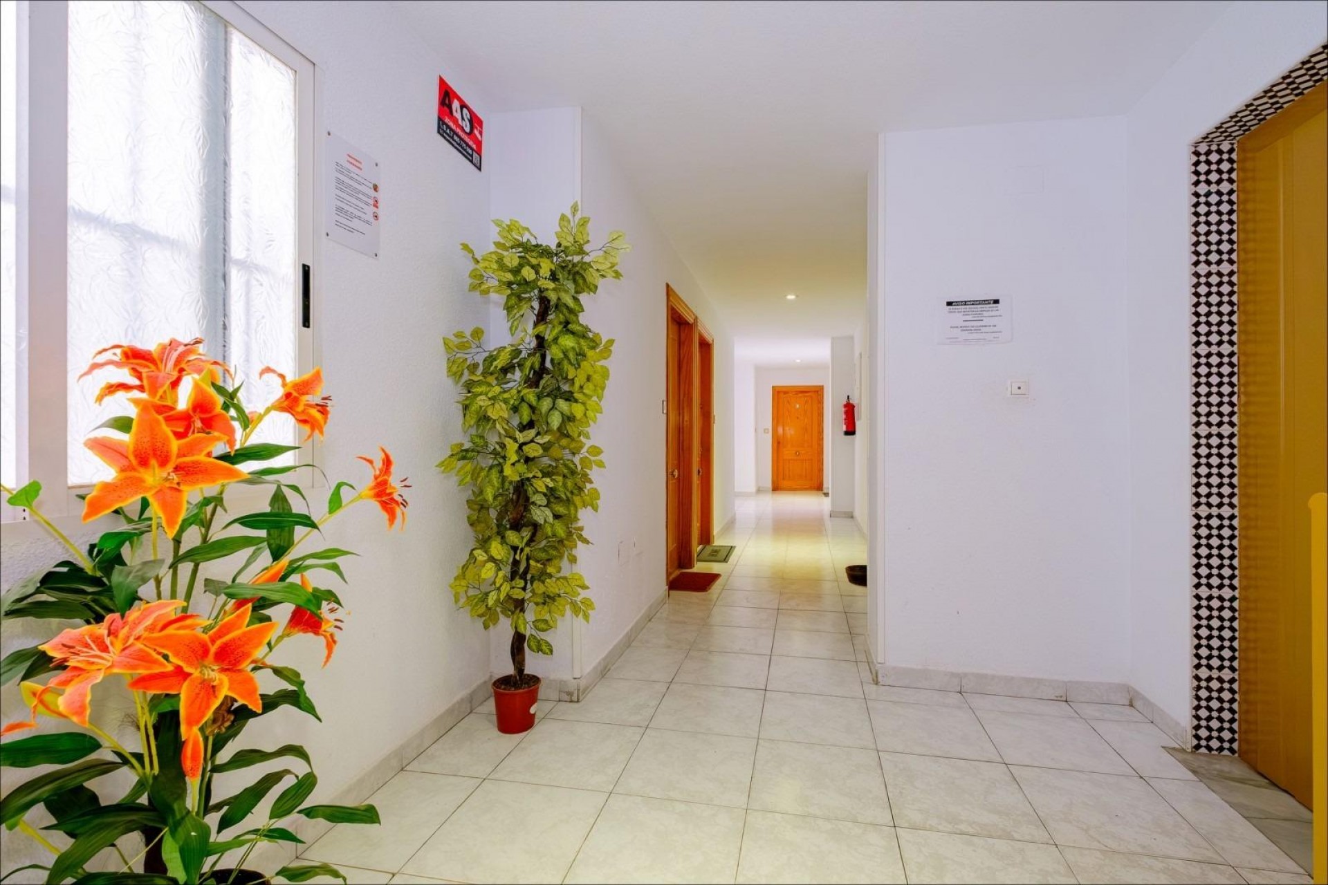 Brukt - Apartment -
Torrevieja - Playa del Cura