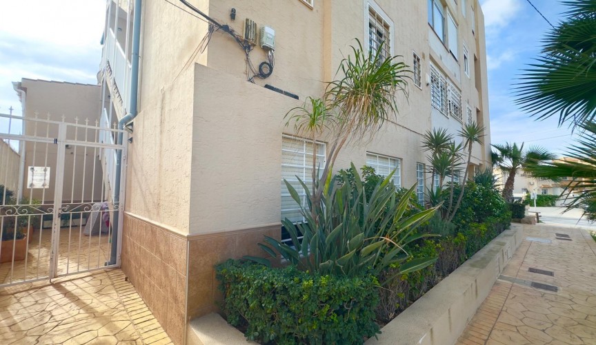 Brukt - Apartment -
Torrevieja - Zona Los Frutales