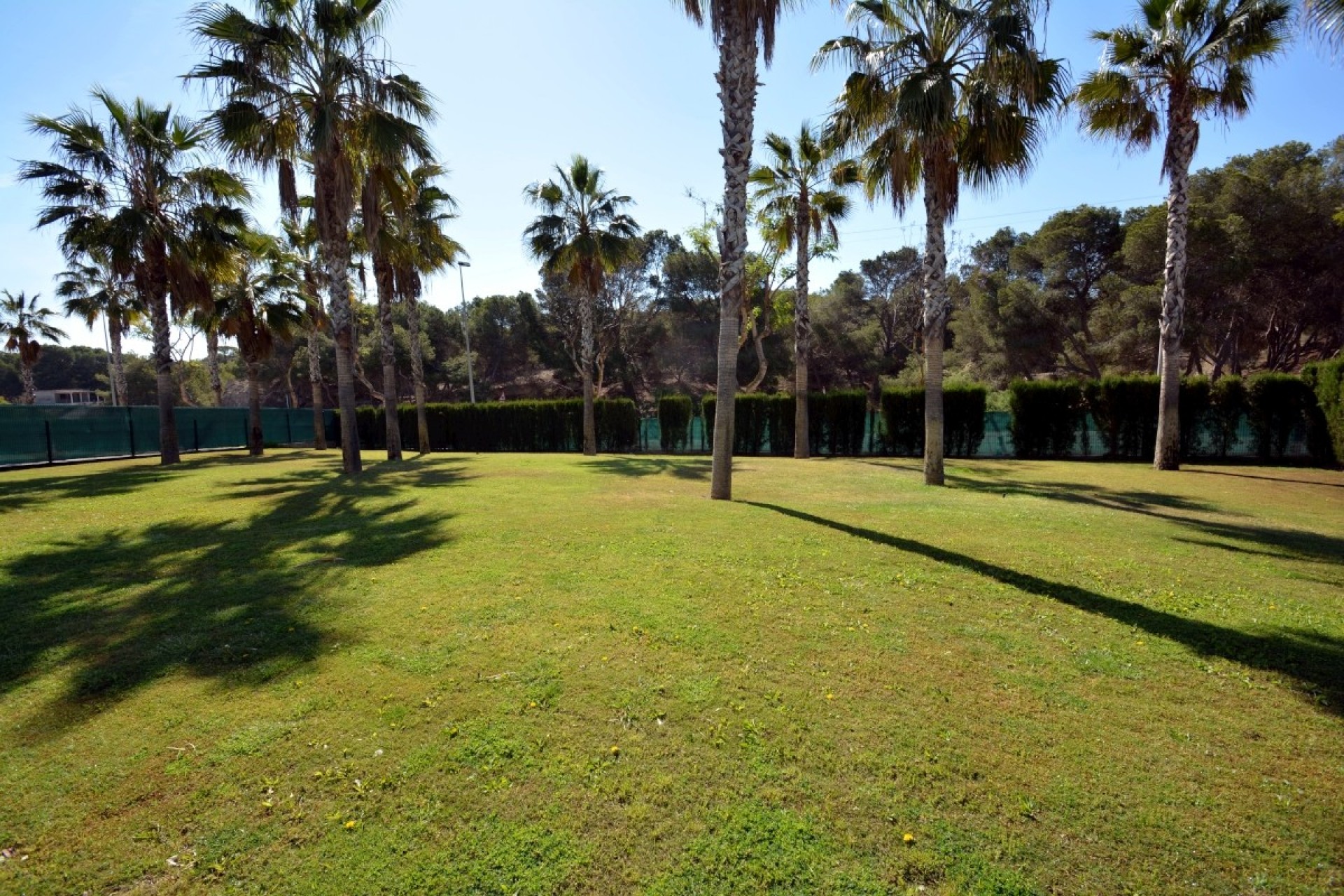 Brukt - Bungalow -
Guardamar del Segura - Costa Blanca