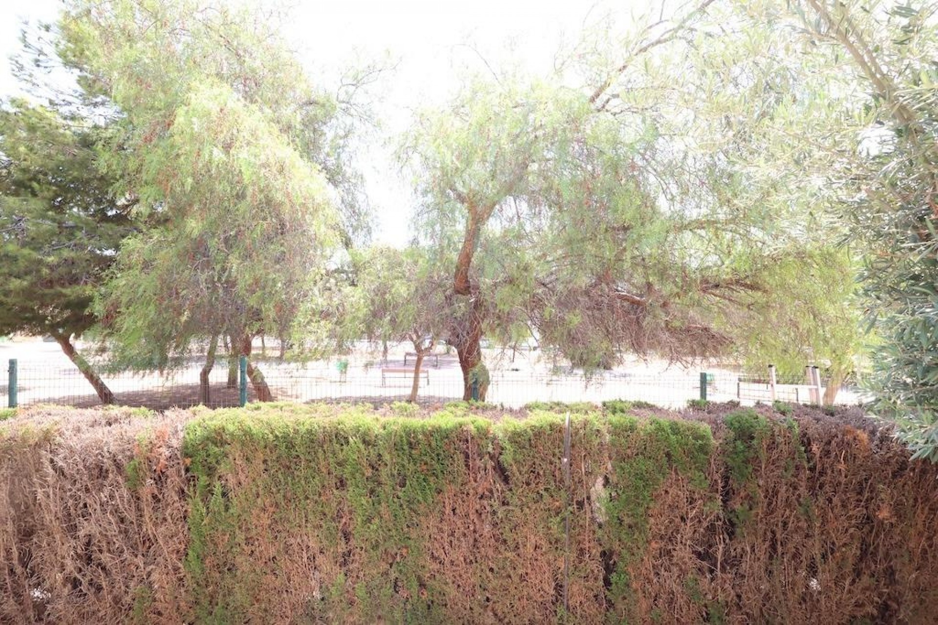 Brukt - Bungalow -
Orihuela Costa - Costa Blanca